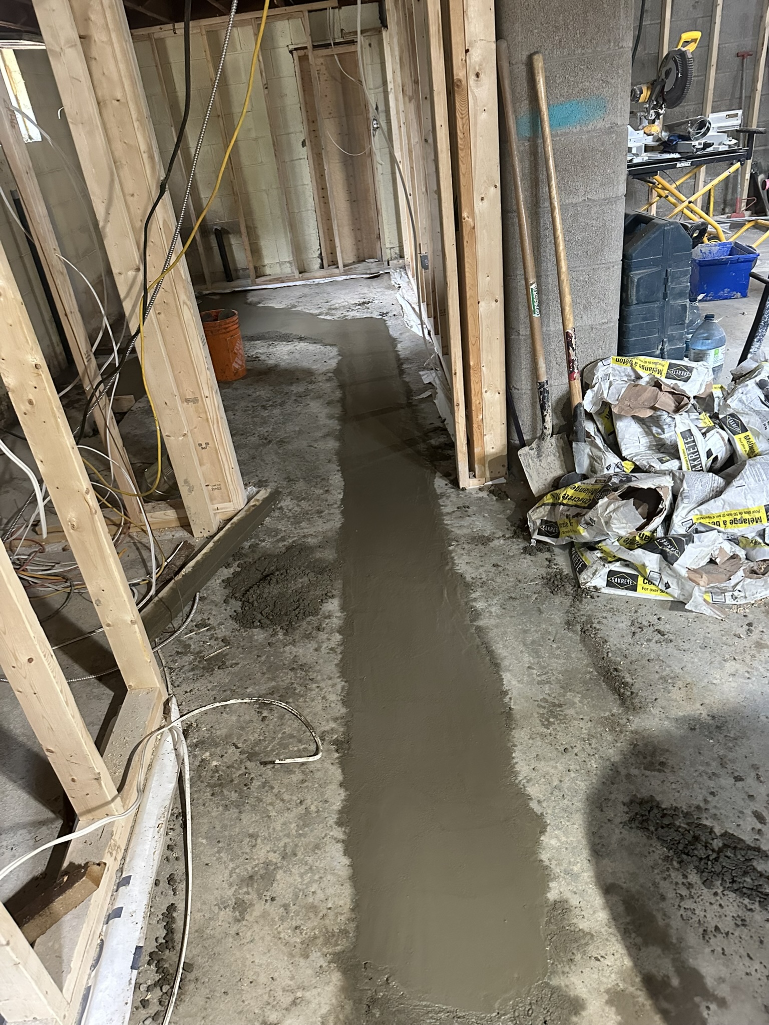 Portfolio image IMG_0456.JPEG