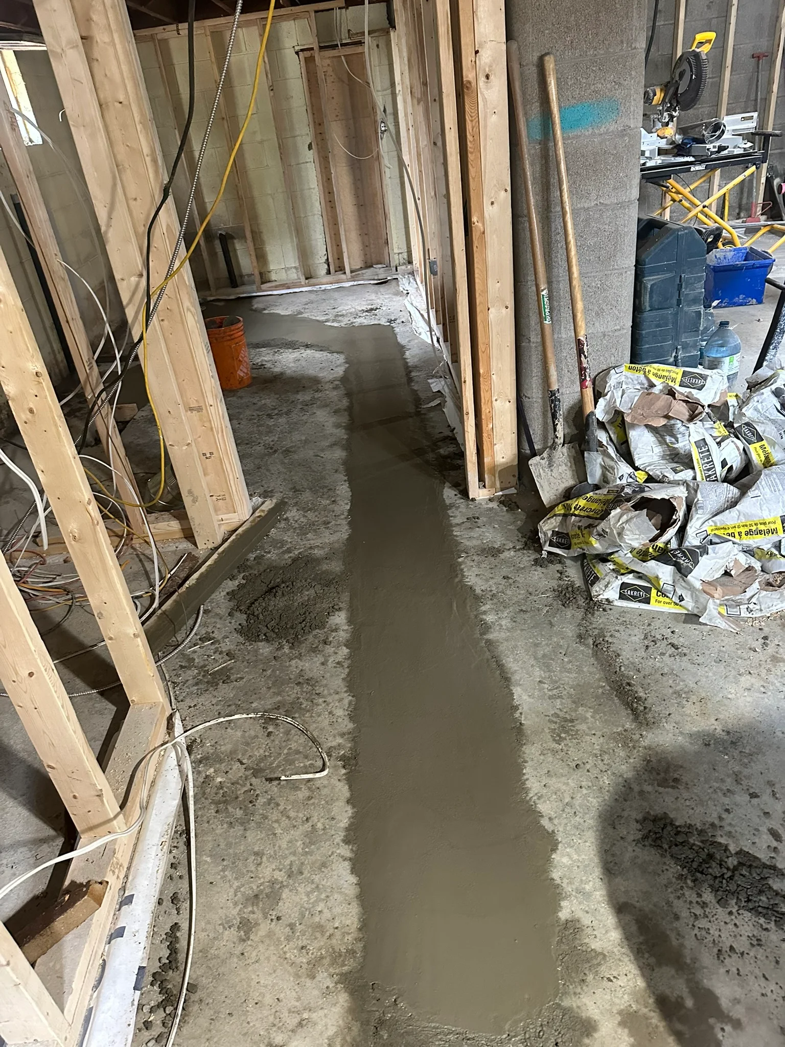 Portfolio image IMG_0456.JPEG