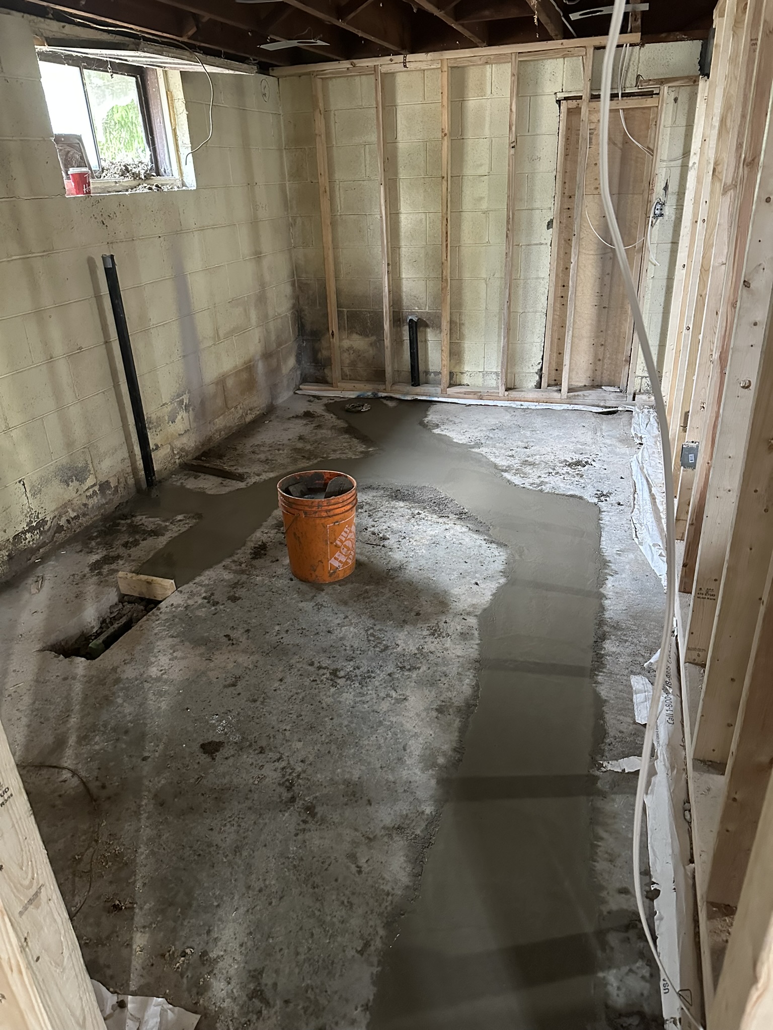 Portfolio image IMG_0457.JPEG