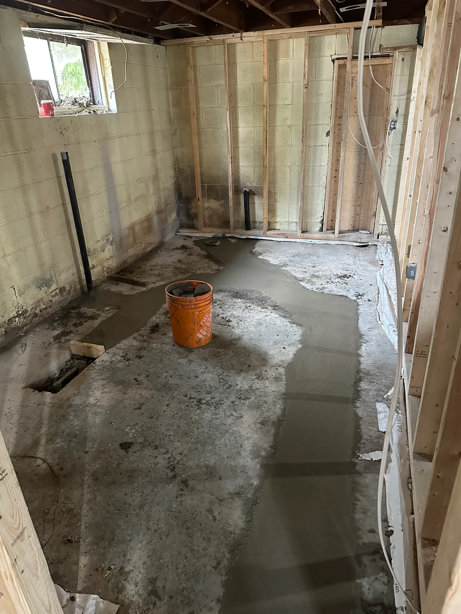 Portfolio image IMG_0457.JPEG