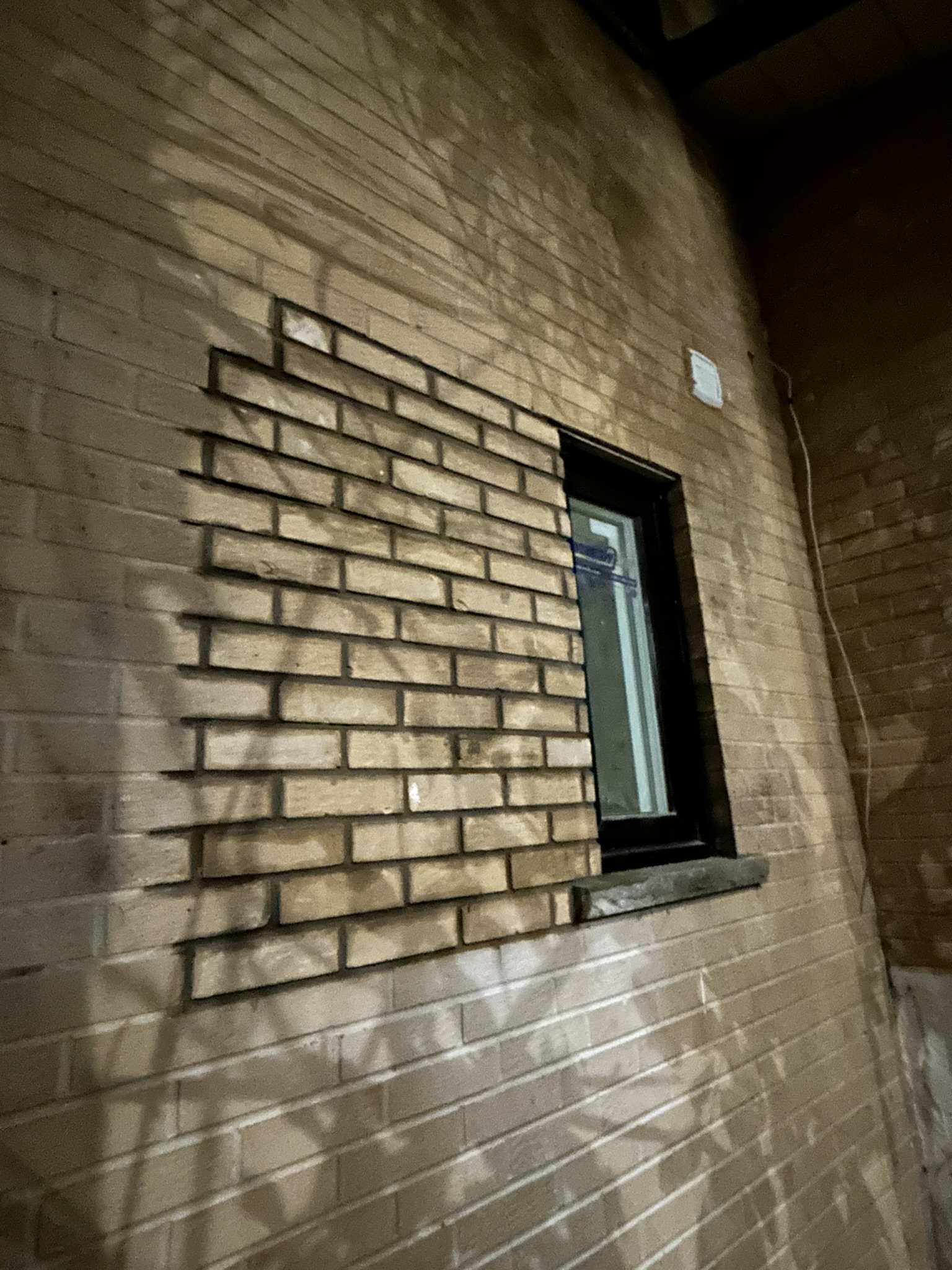 Portfolio image IMG_0493.JPEG