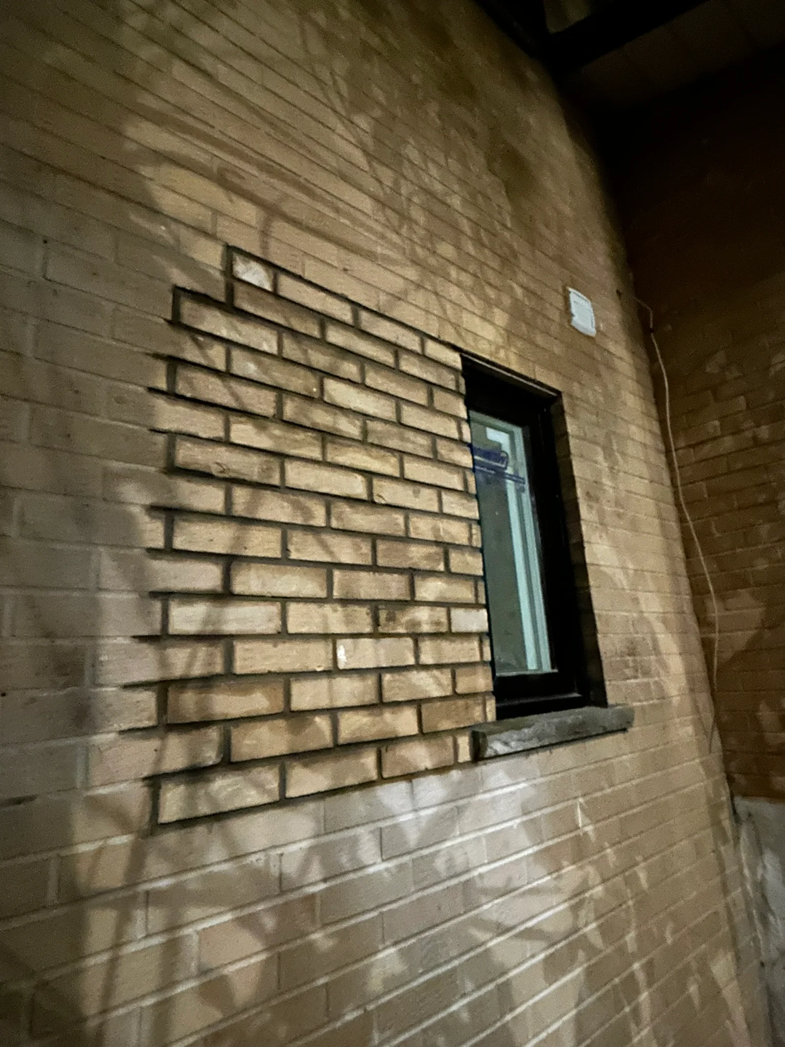 Portfolio image IMG_0493.JPEG