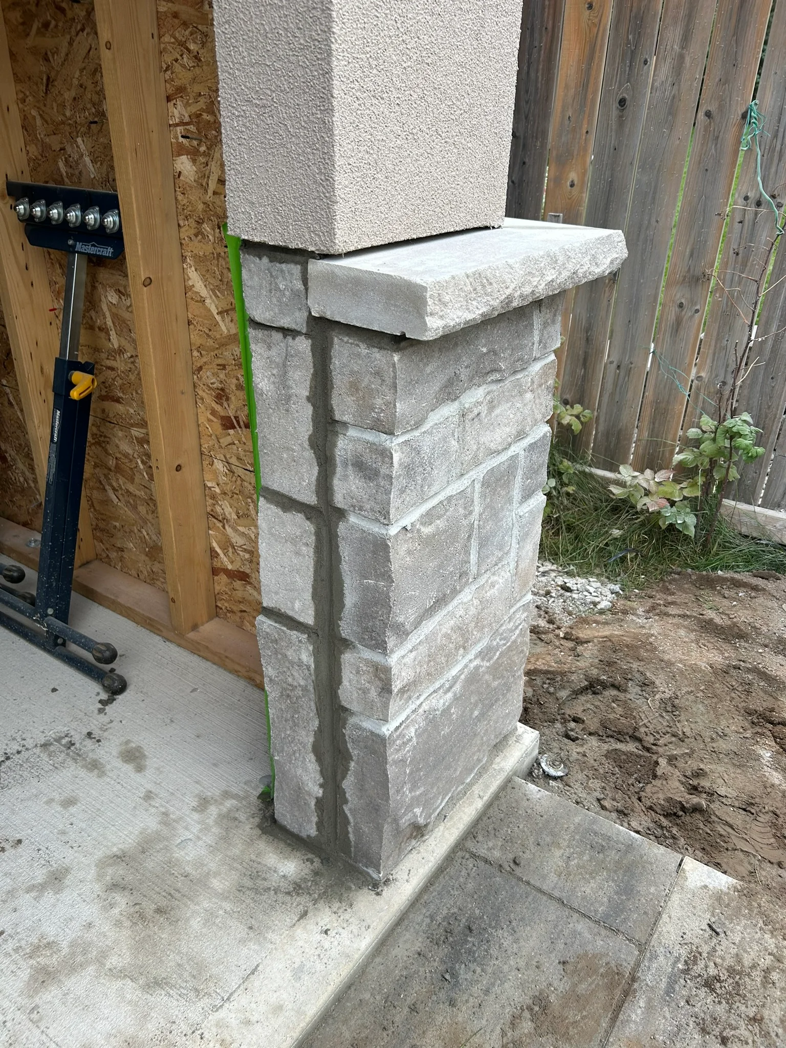 Portfolio image IMG_0541.JPEG