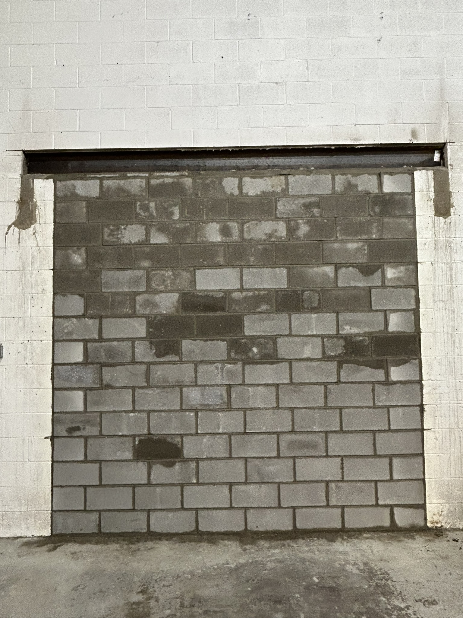 Portfolio image IMG_0592.JPEG