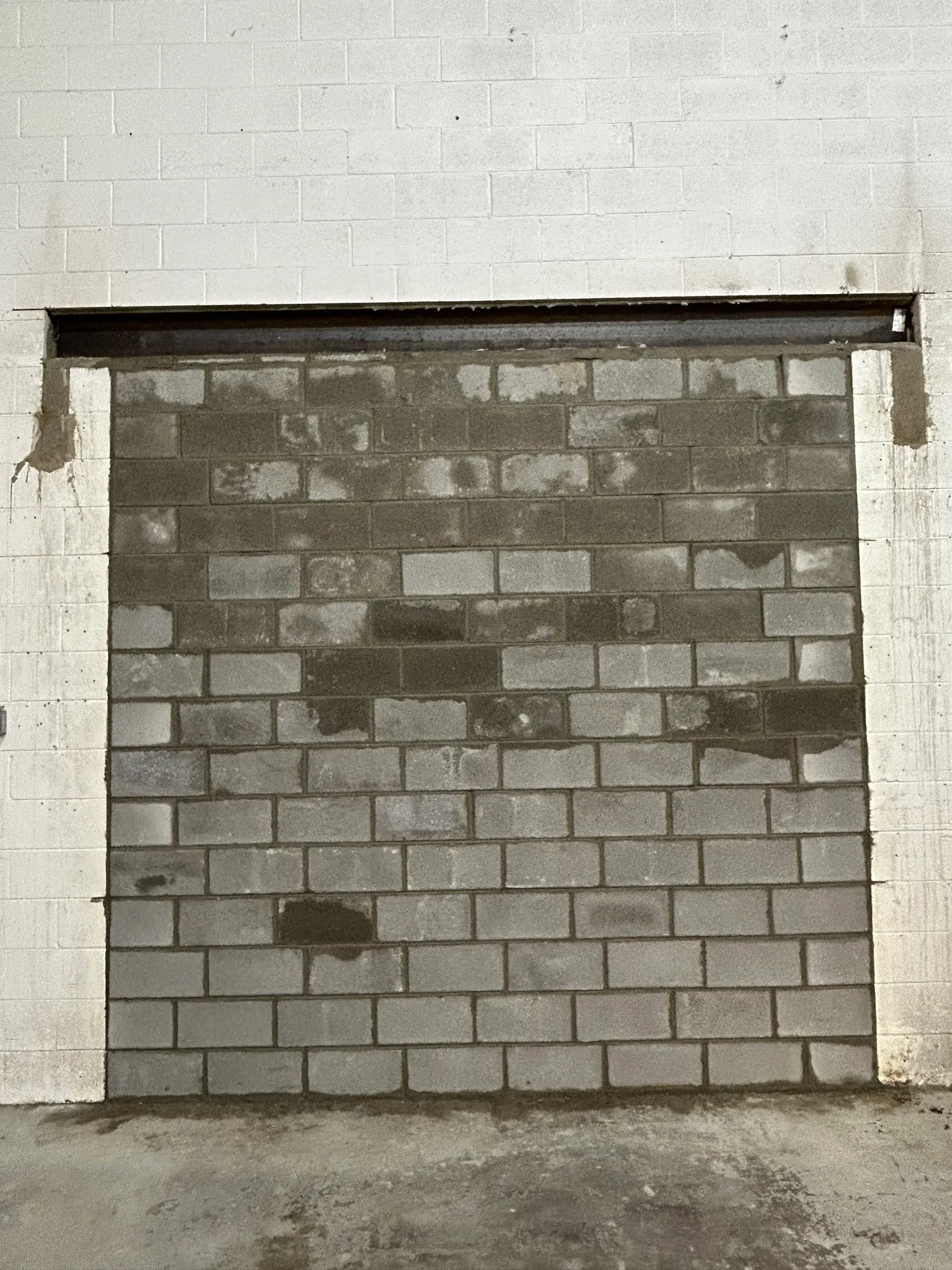 Portfolio image IMG_0592.JPEG