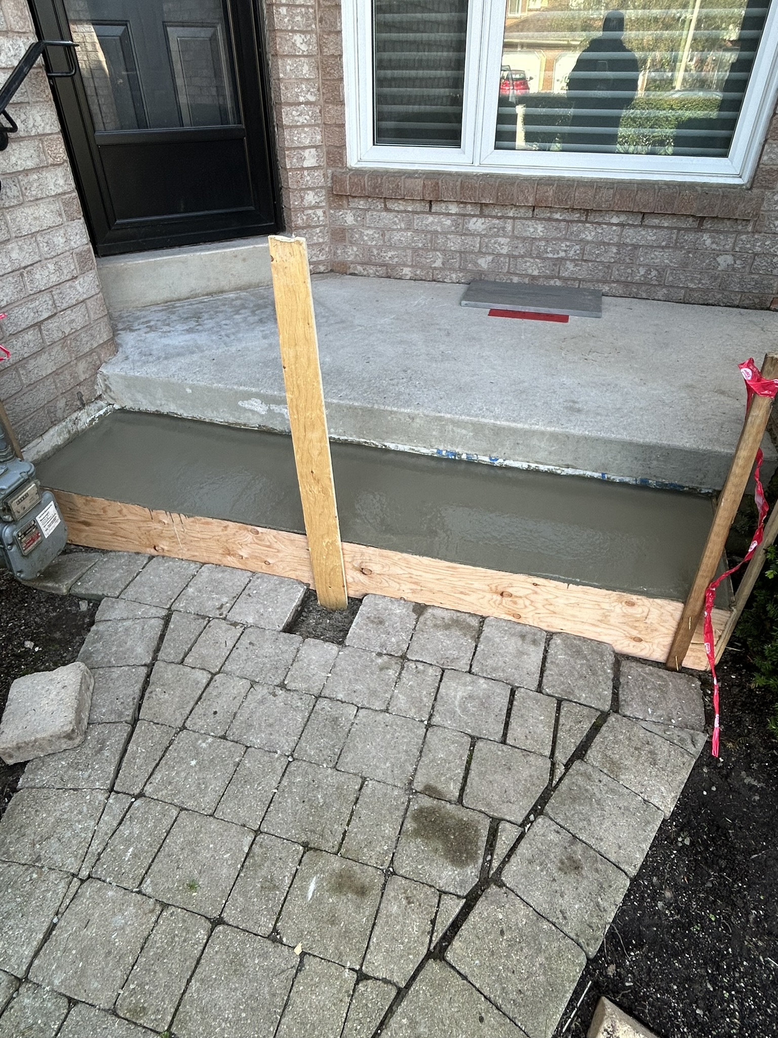 Portfolio image IMG_0596.JPEG