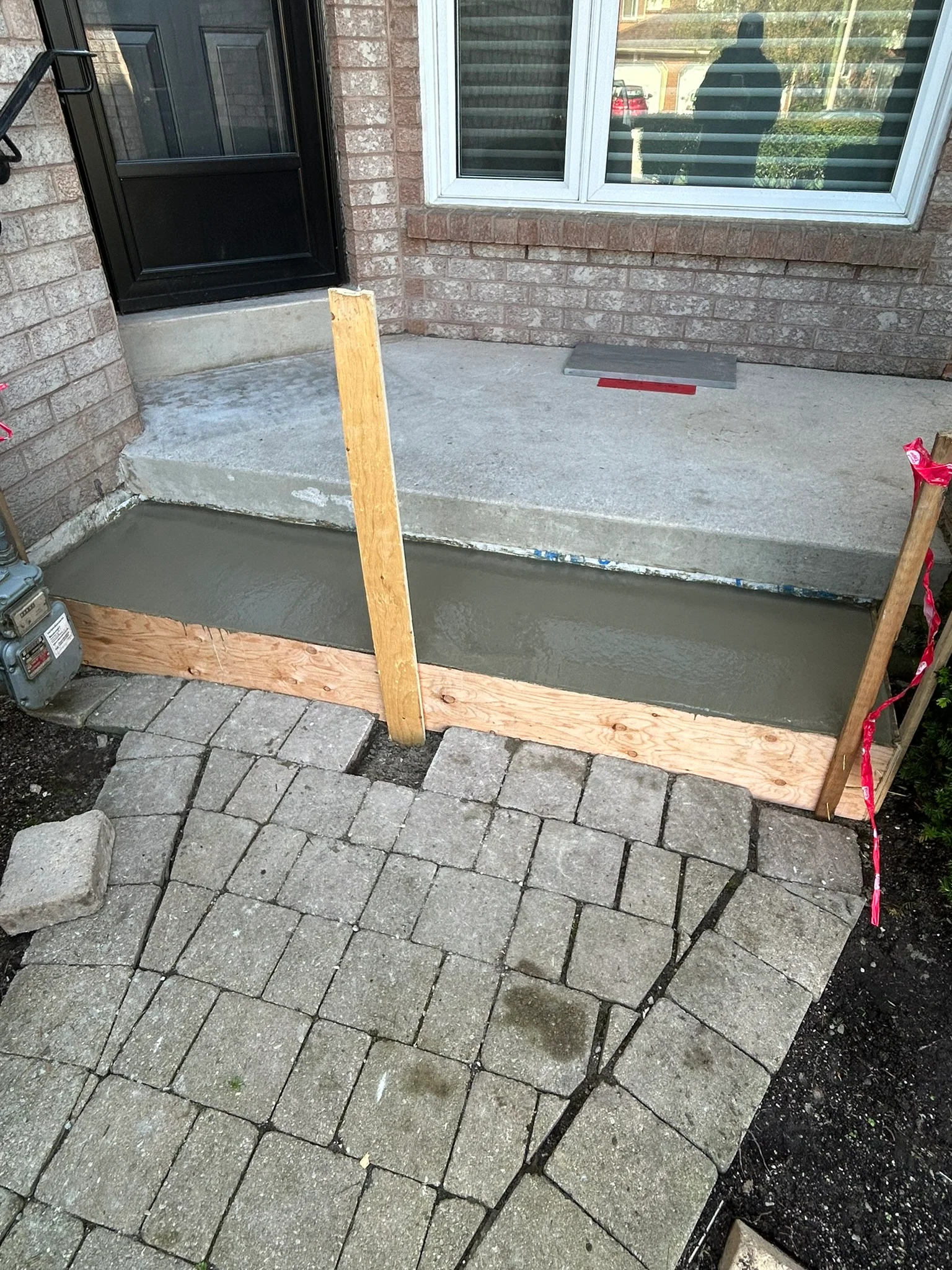 Portfolio image IMG_0596.JPEG