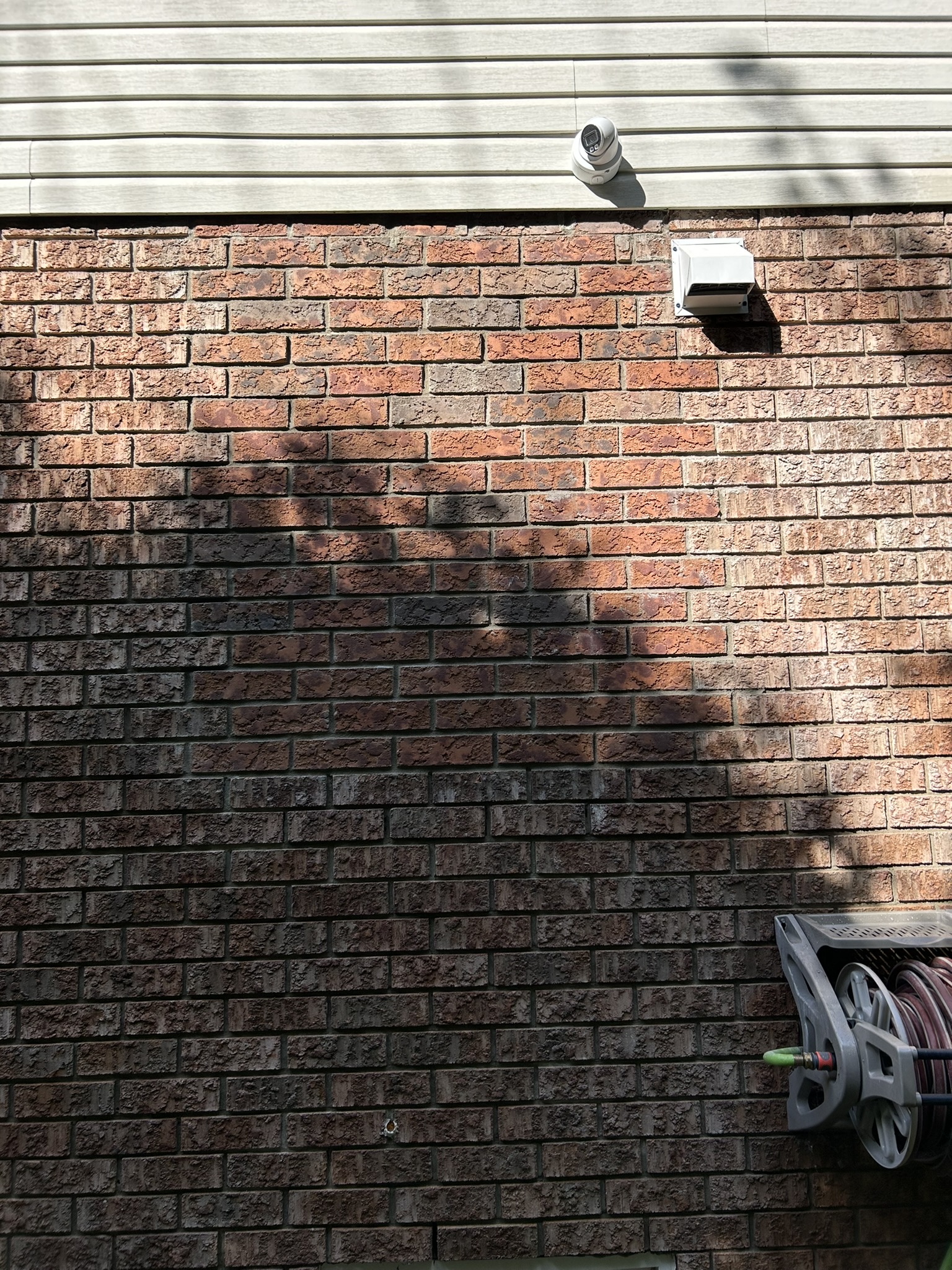 Portfolio image IMG_0675.JPEG