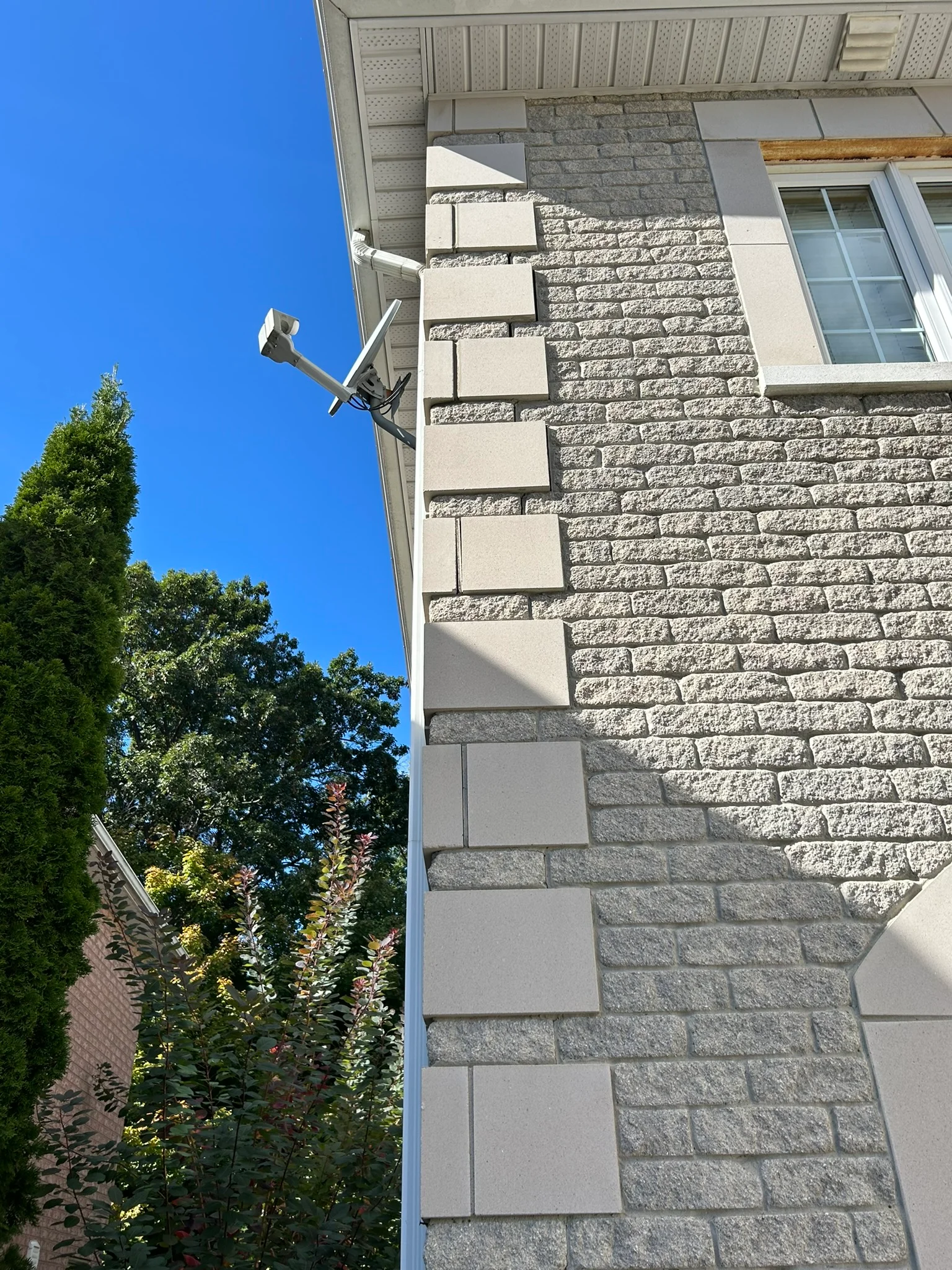 Portfolio image IMG_0735.JPEG