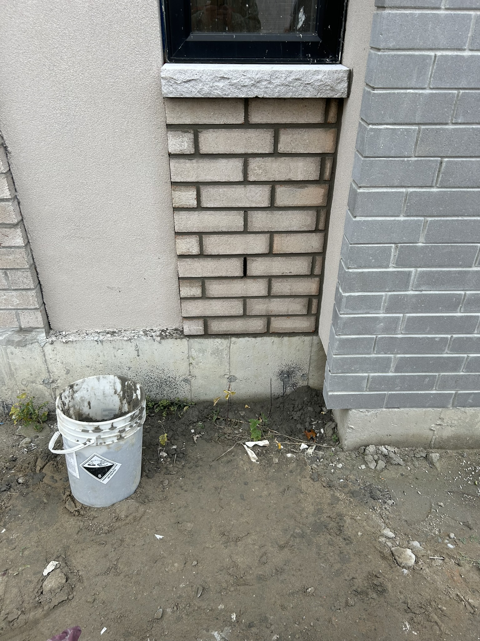 Portfolio image IMG_0865.JPEG