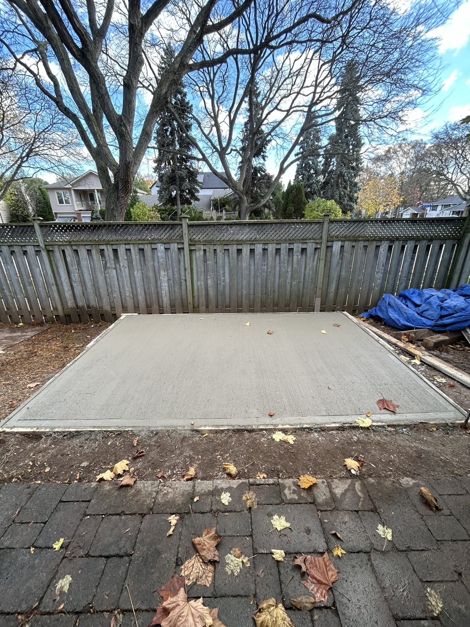 Portfolio image IMG_0952.JPEG