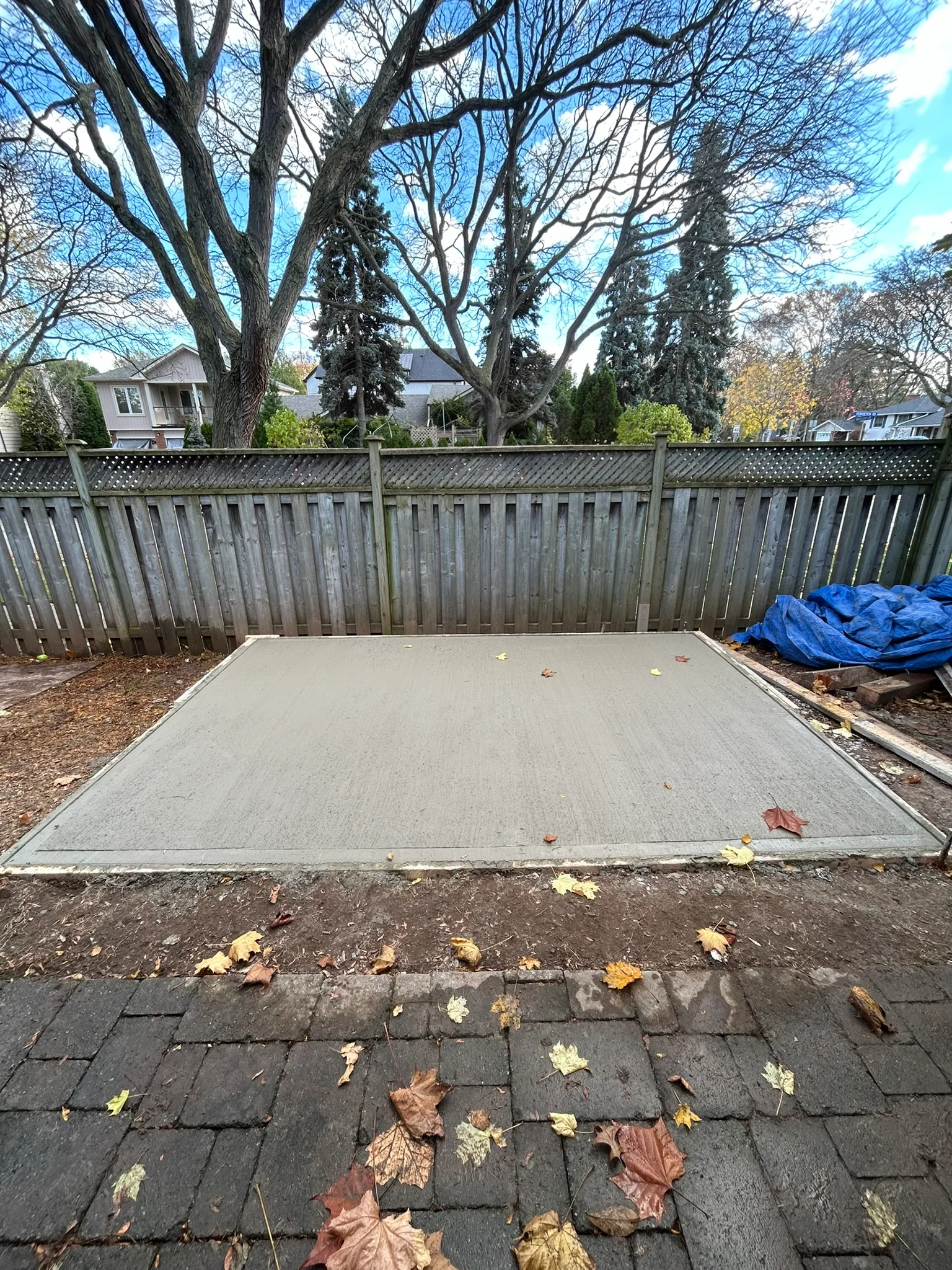 Portfolio image IMG_0952.JPEG