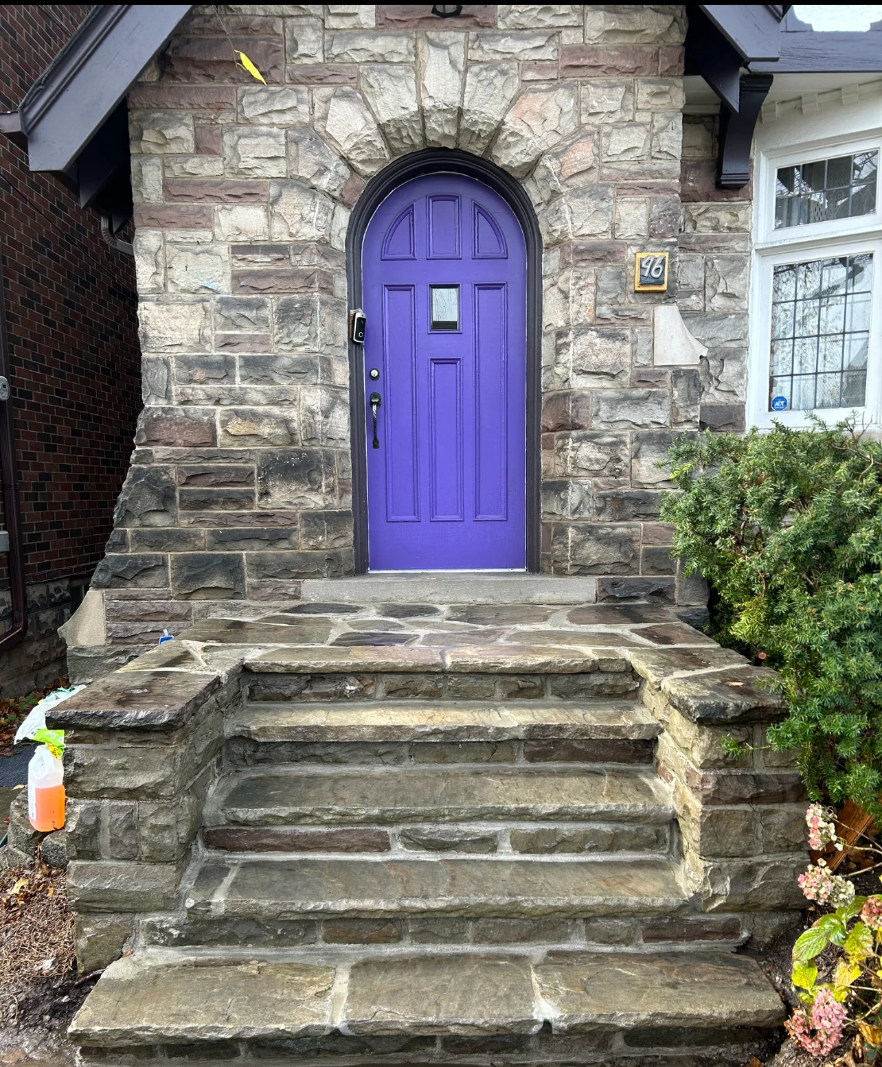 Portfolio image IMG_1033.JPEG