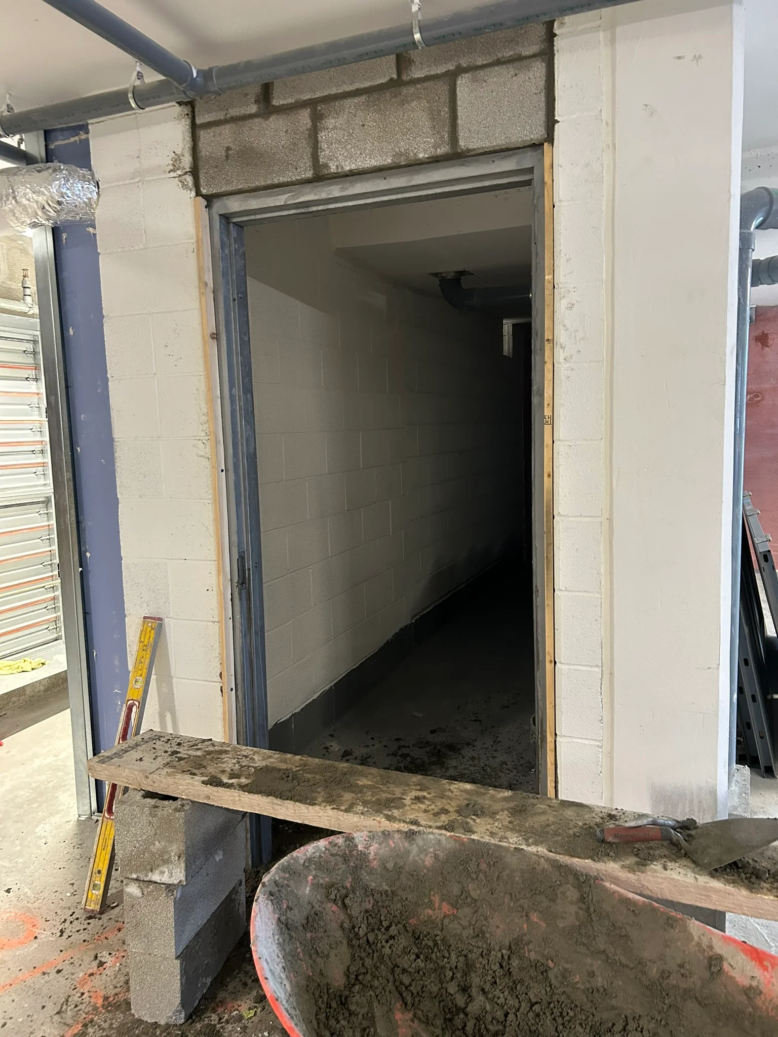 Portfolio image IMG_1246.JPEG