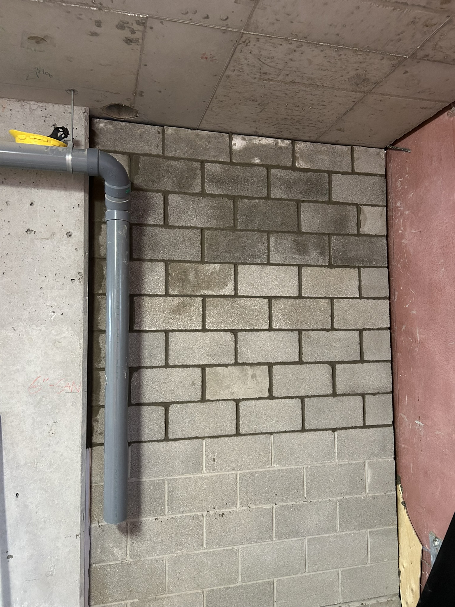 Portfolio image IMG_1251.JPEG