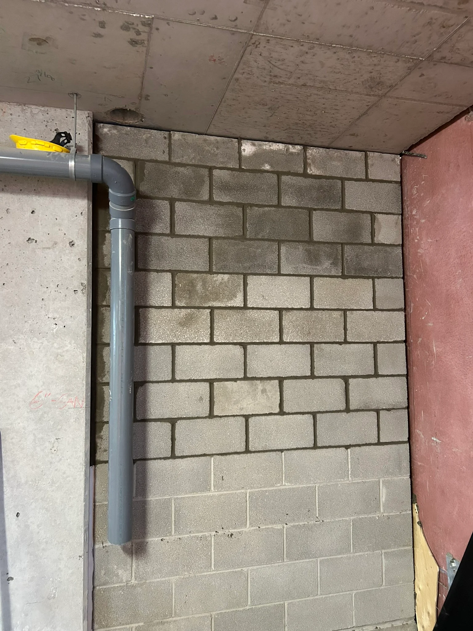 Portfolio image IMG_1251.JPEG