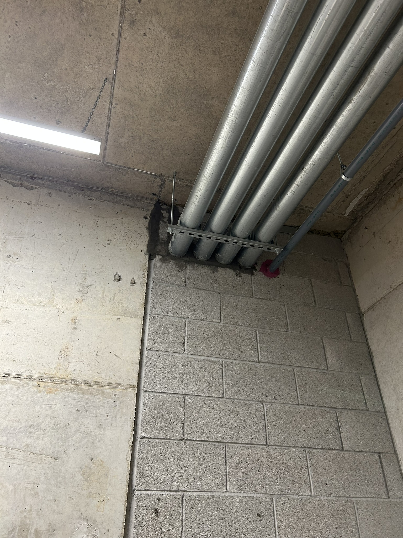 Portfolio image IMG_1304.JPEG