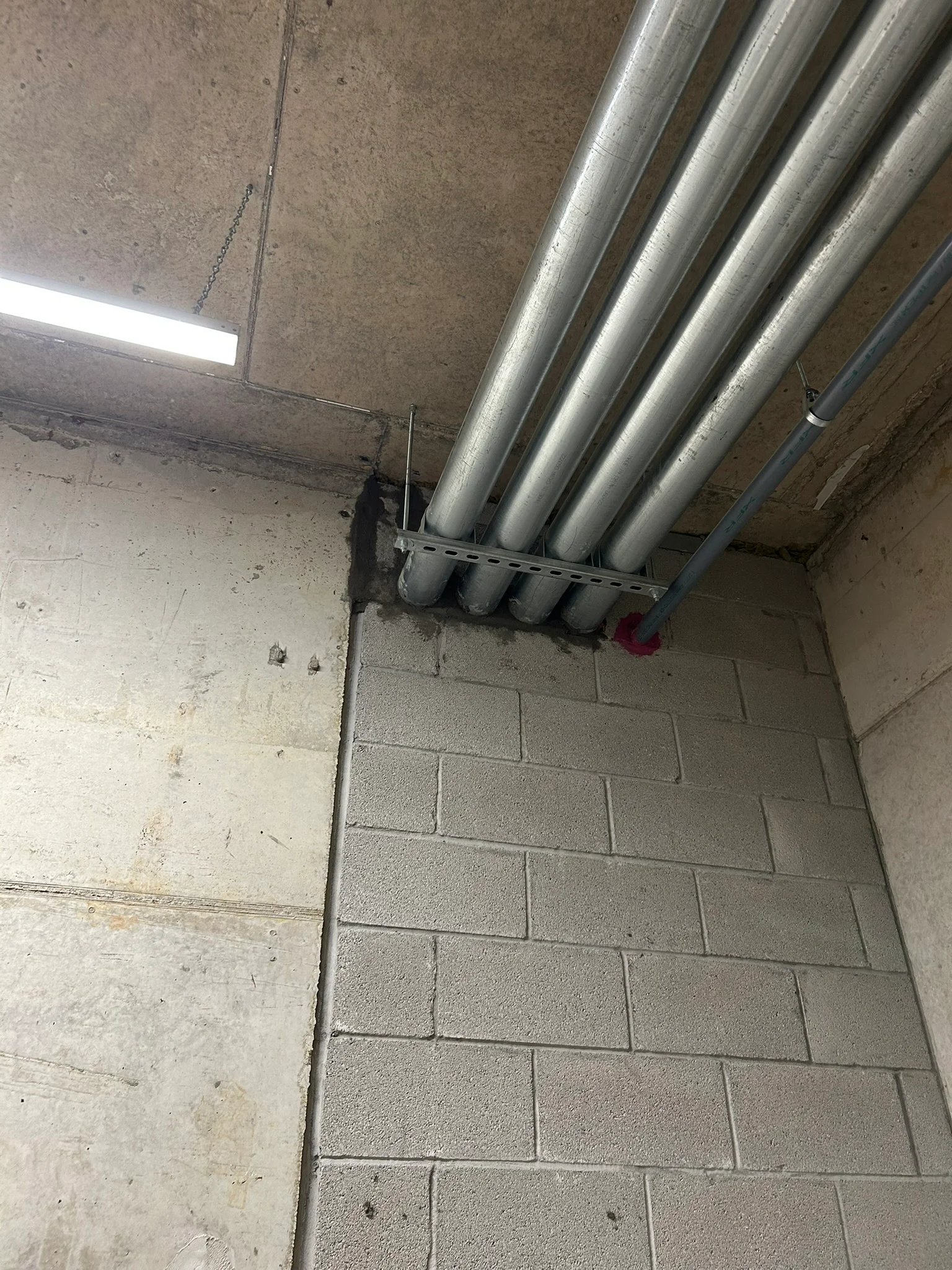 Portfolio image IMG_1304.JPEG