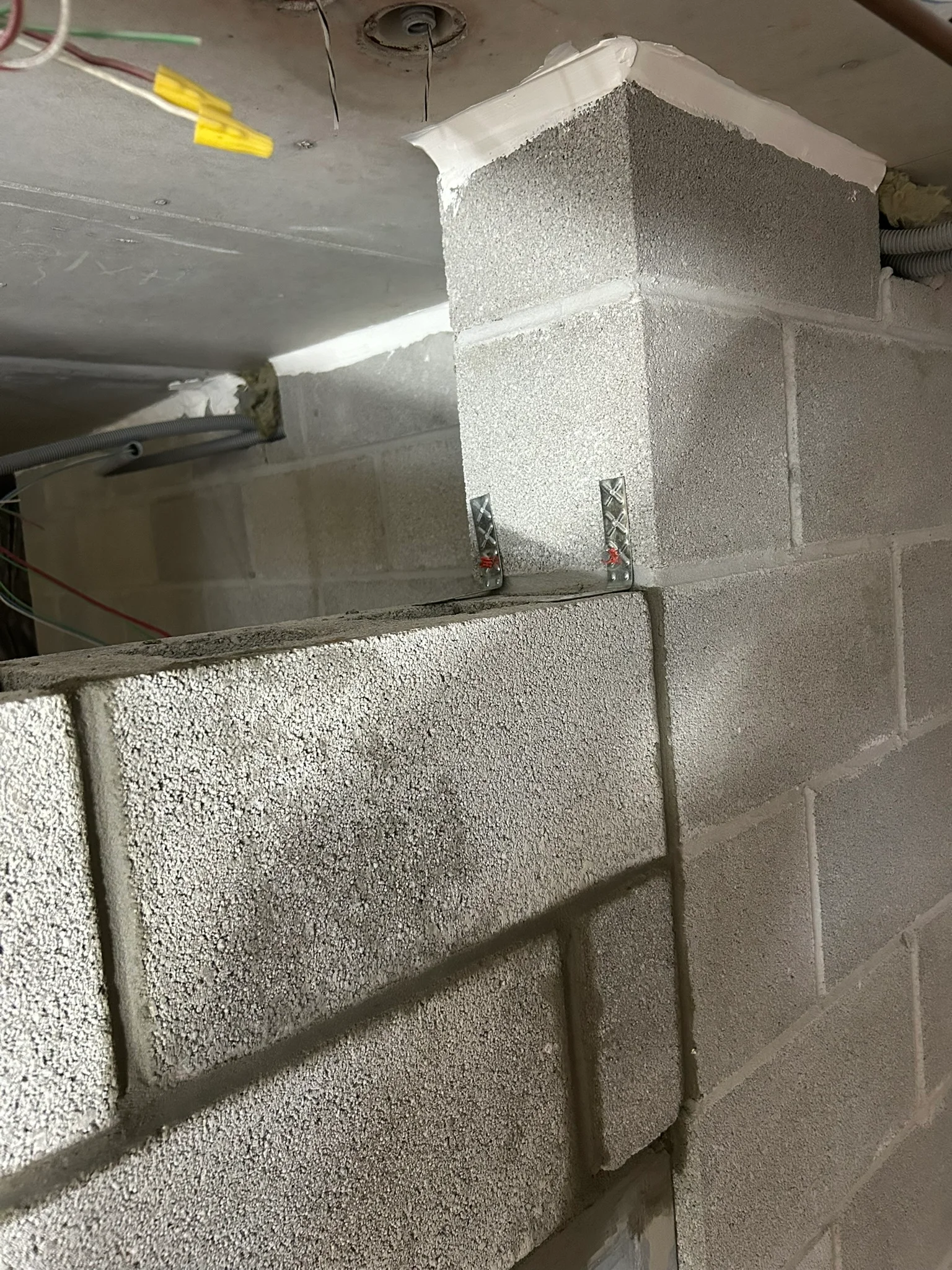 Portfolio image IMG_1368.JPEG