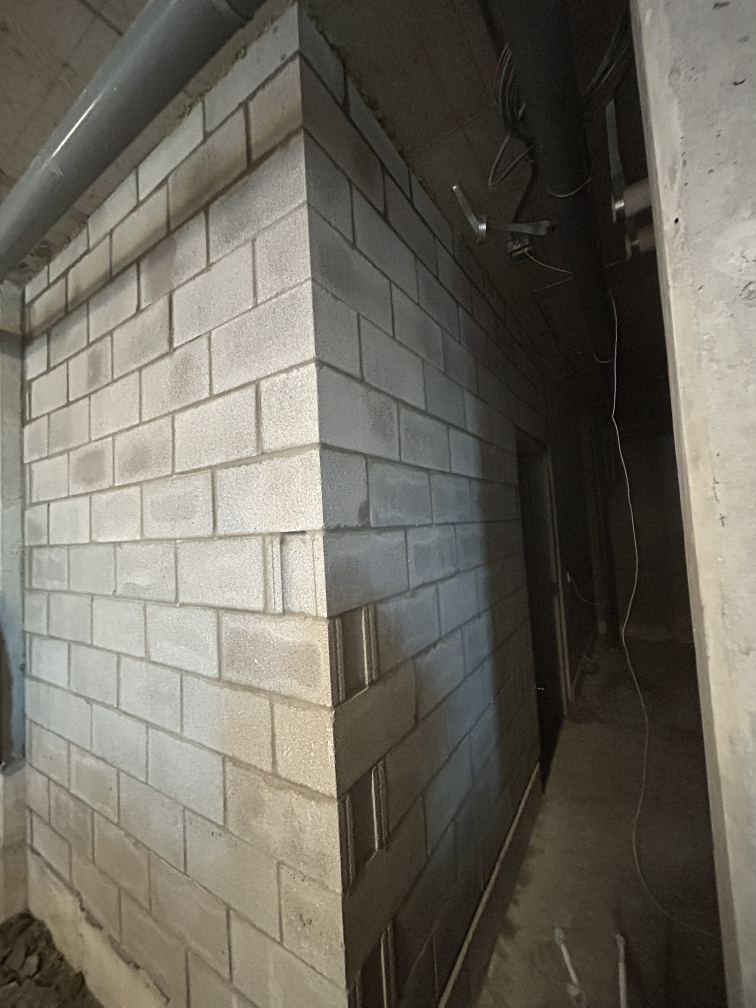 Portfolio image IMG_1371.JPEG