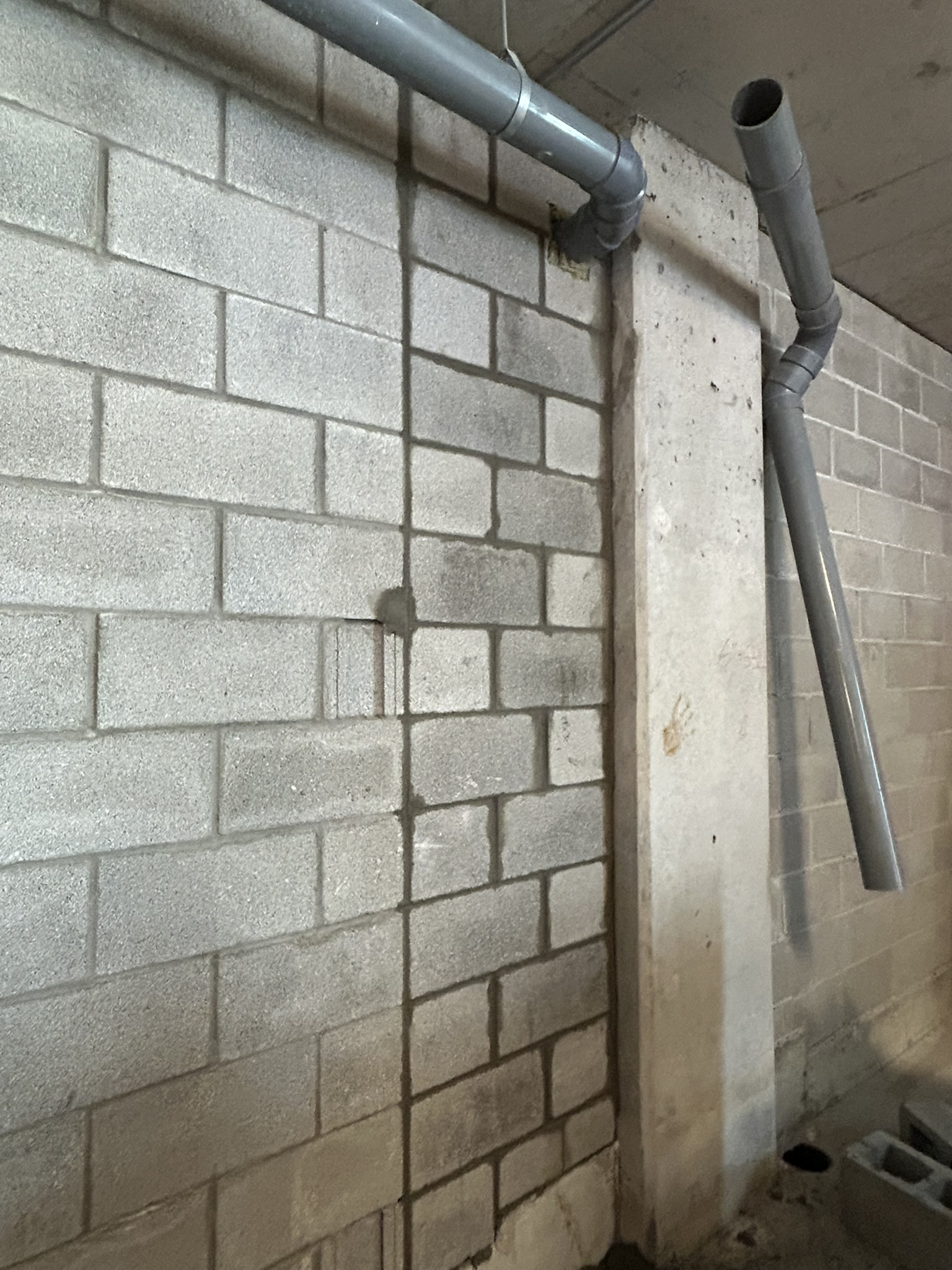 Portfolio image IMG_1374.JPEG