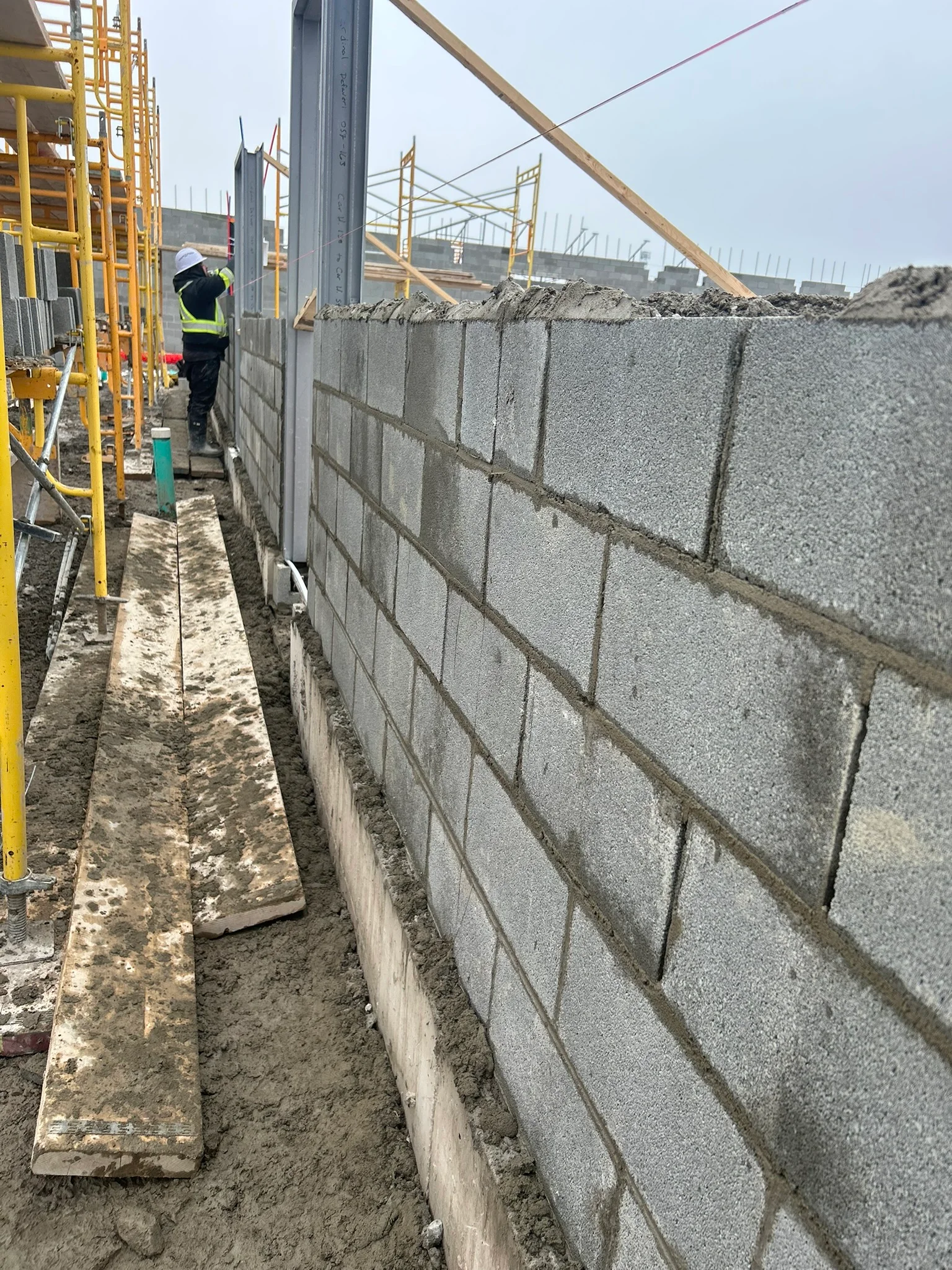 Portfolio image IMG_1444.JPEG