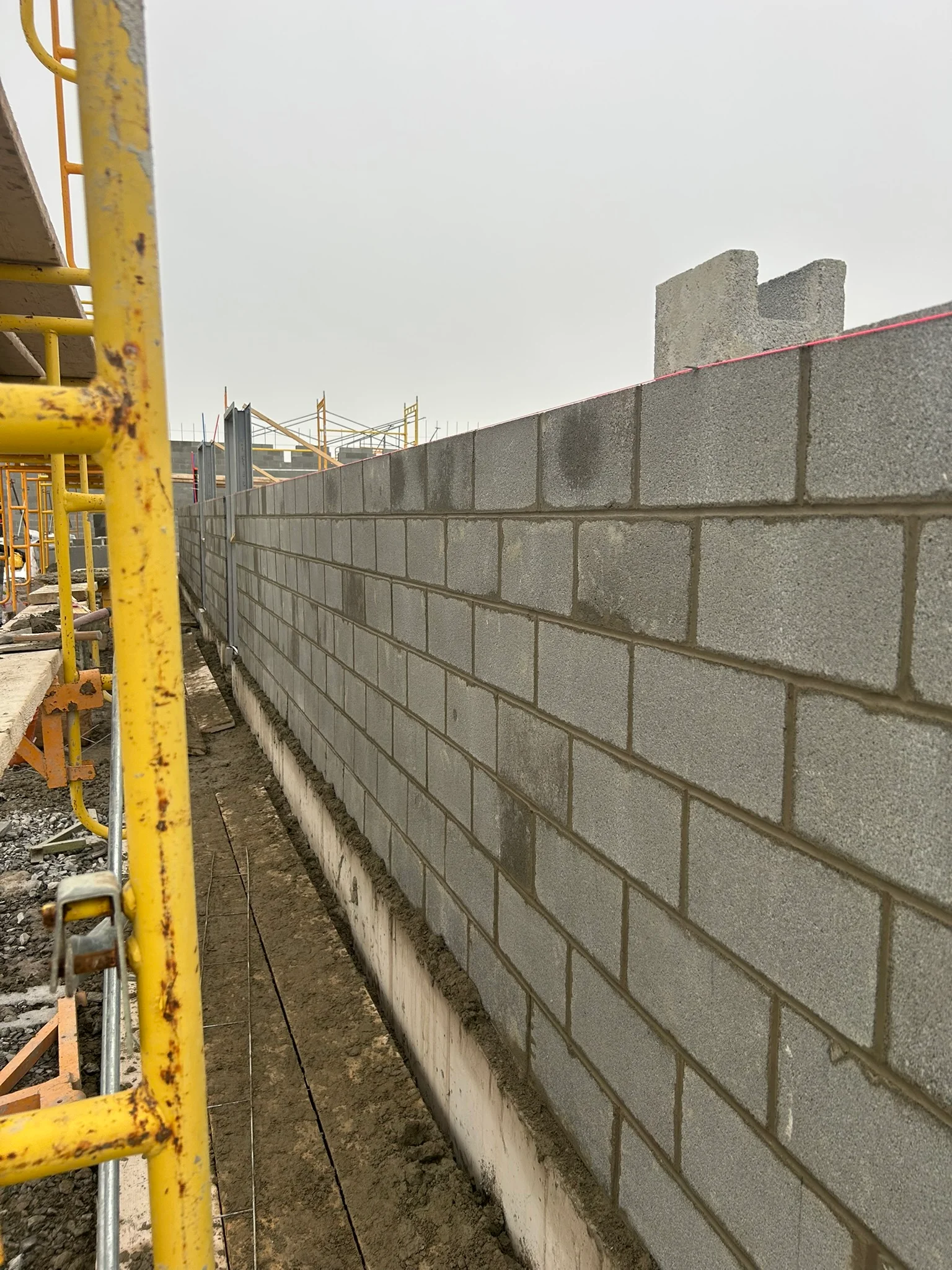 Portfolio image IMG_1445.JPEG