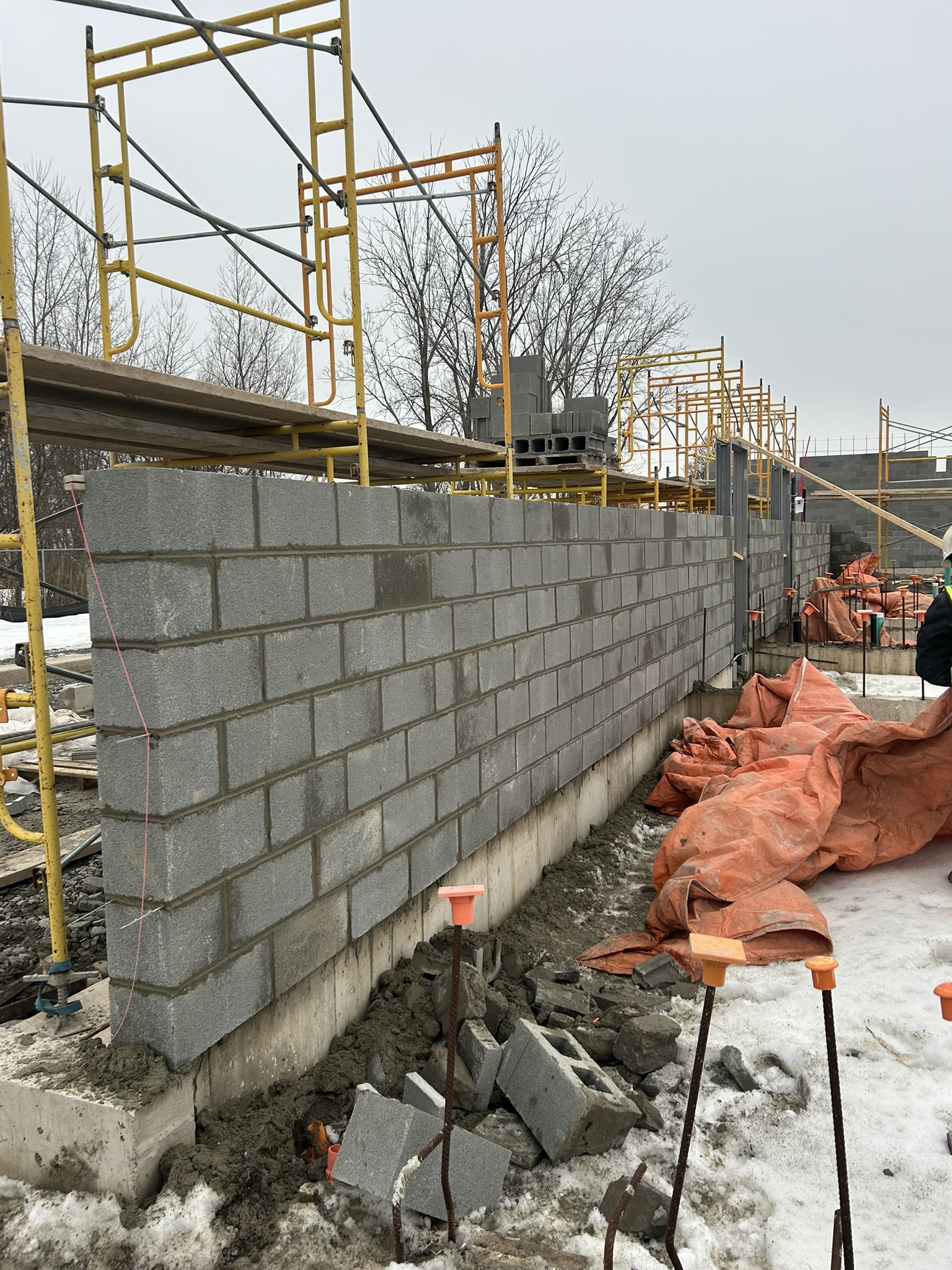 Portfolio image IMG_1446.JPEG