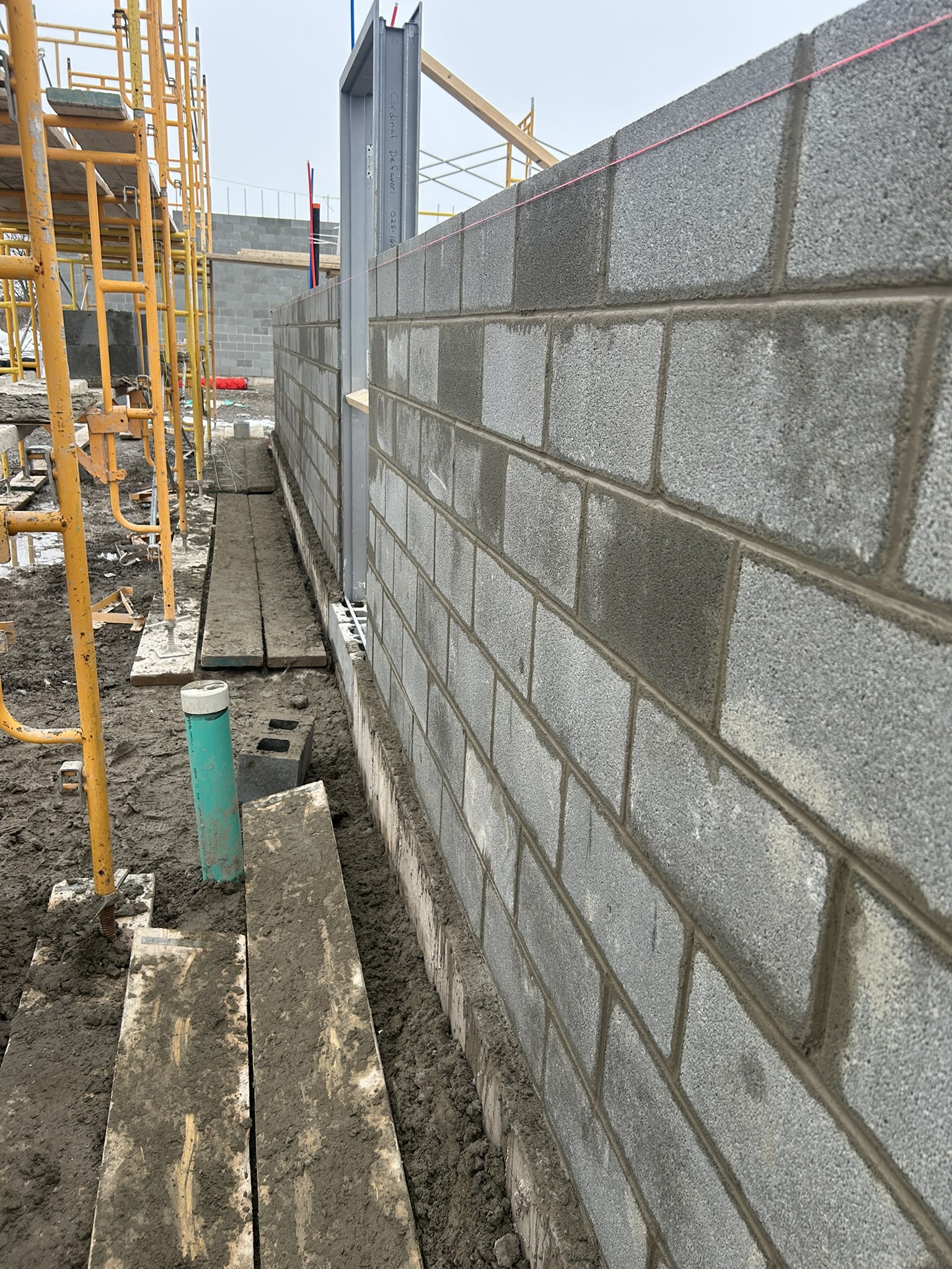 Portfolio image IMG_1447.JPEG