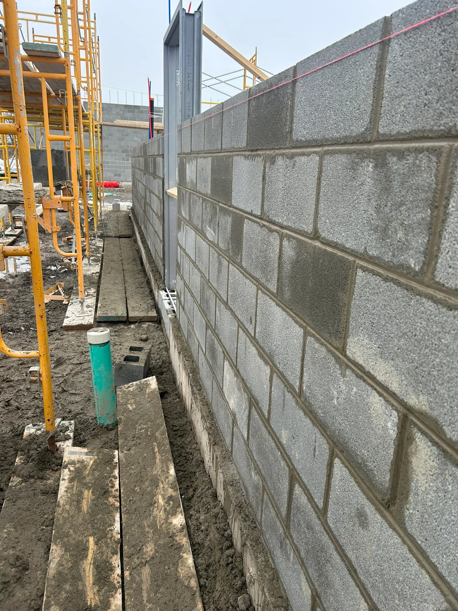 Portfolio image IMG_1447.JPEG