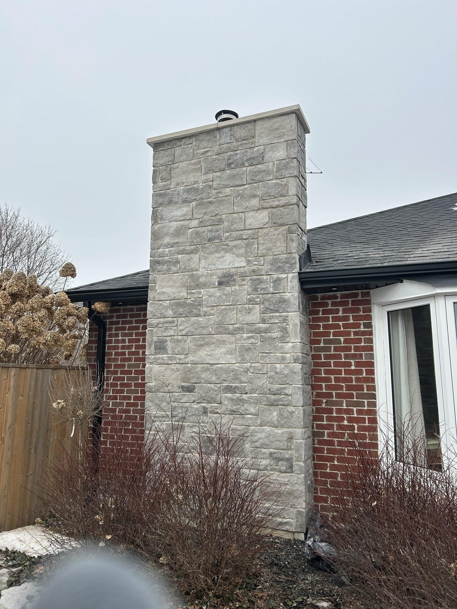 Portfolio image IMG_1507.JPEG