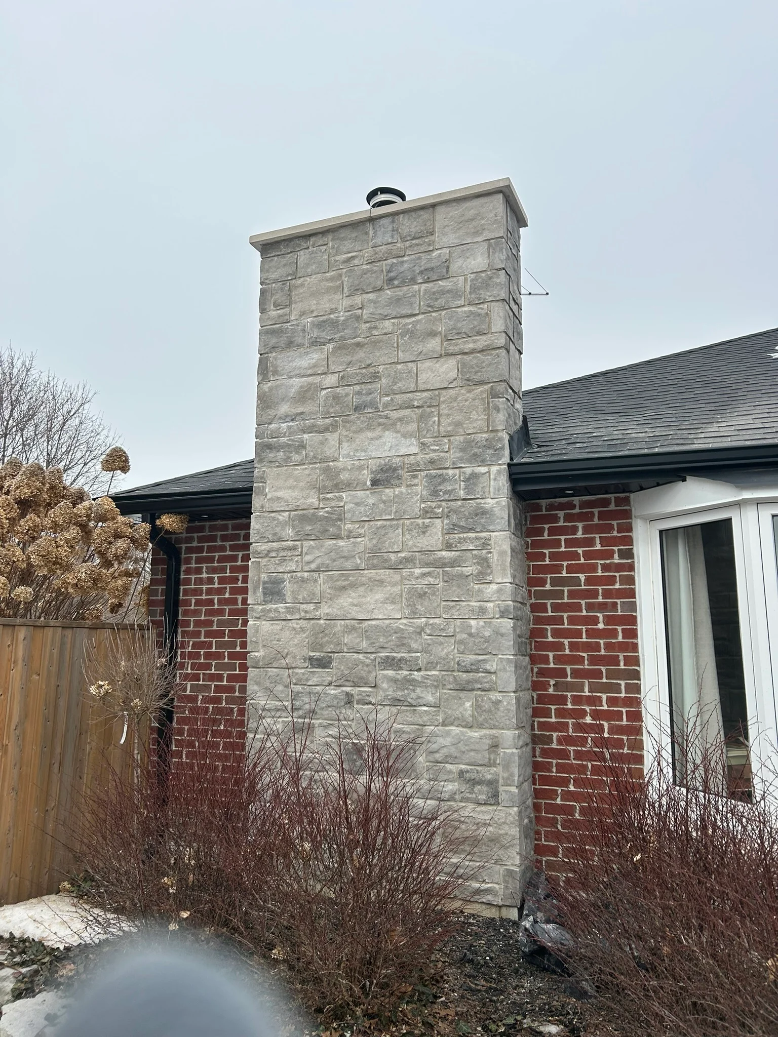 Portfolio image IMG_1507.JPEG