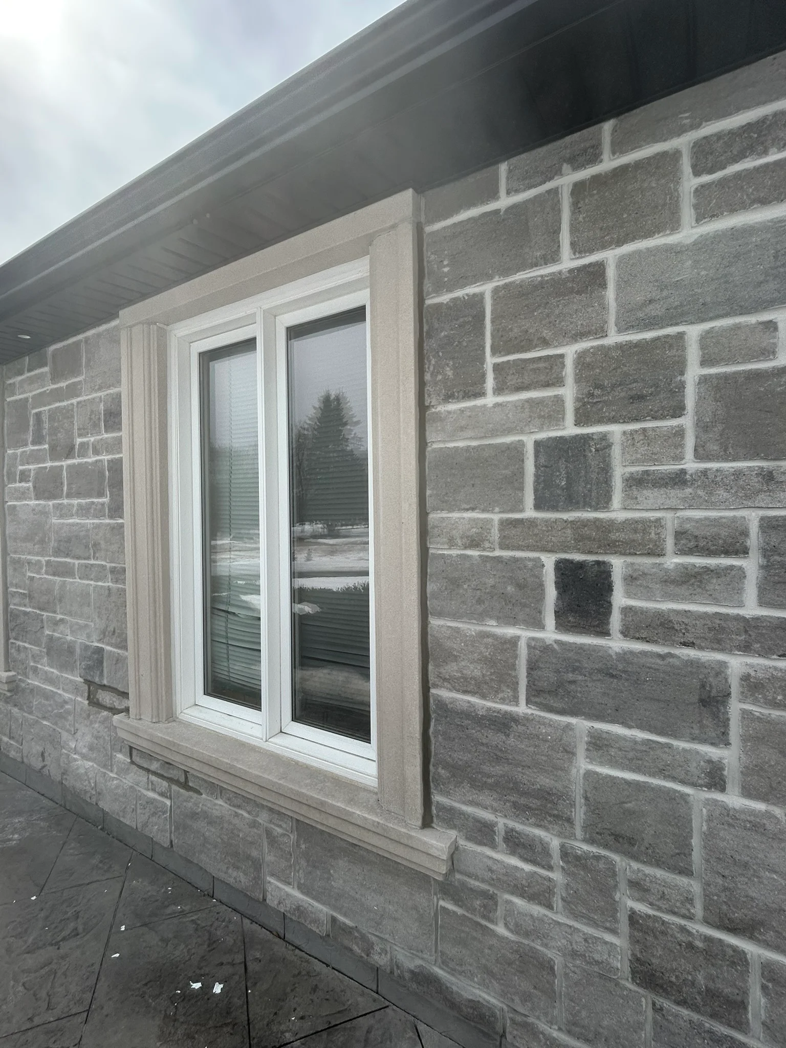 Portfolio image IMG_1509.JPEG