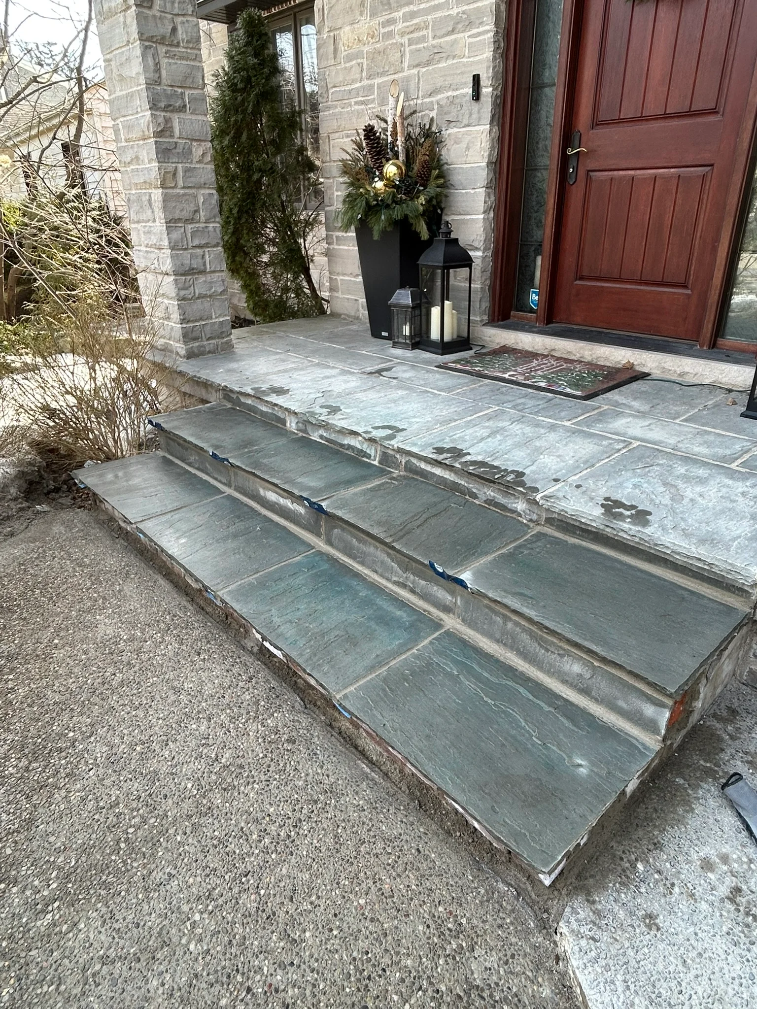 Portfolio image IMG_1519.JPEG