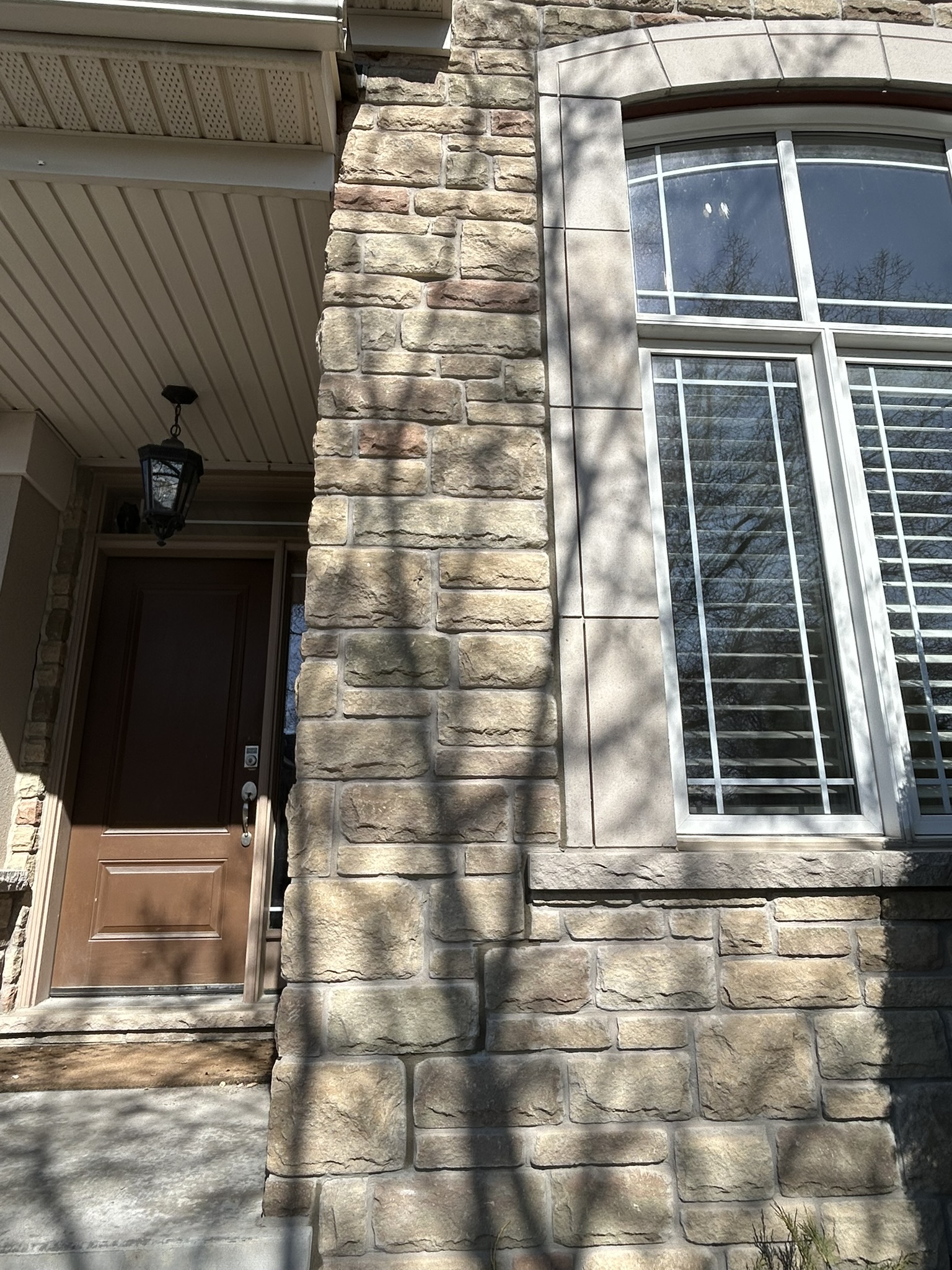 Portfolio image IMG_1637.JPEG