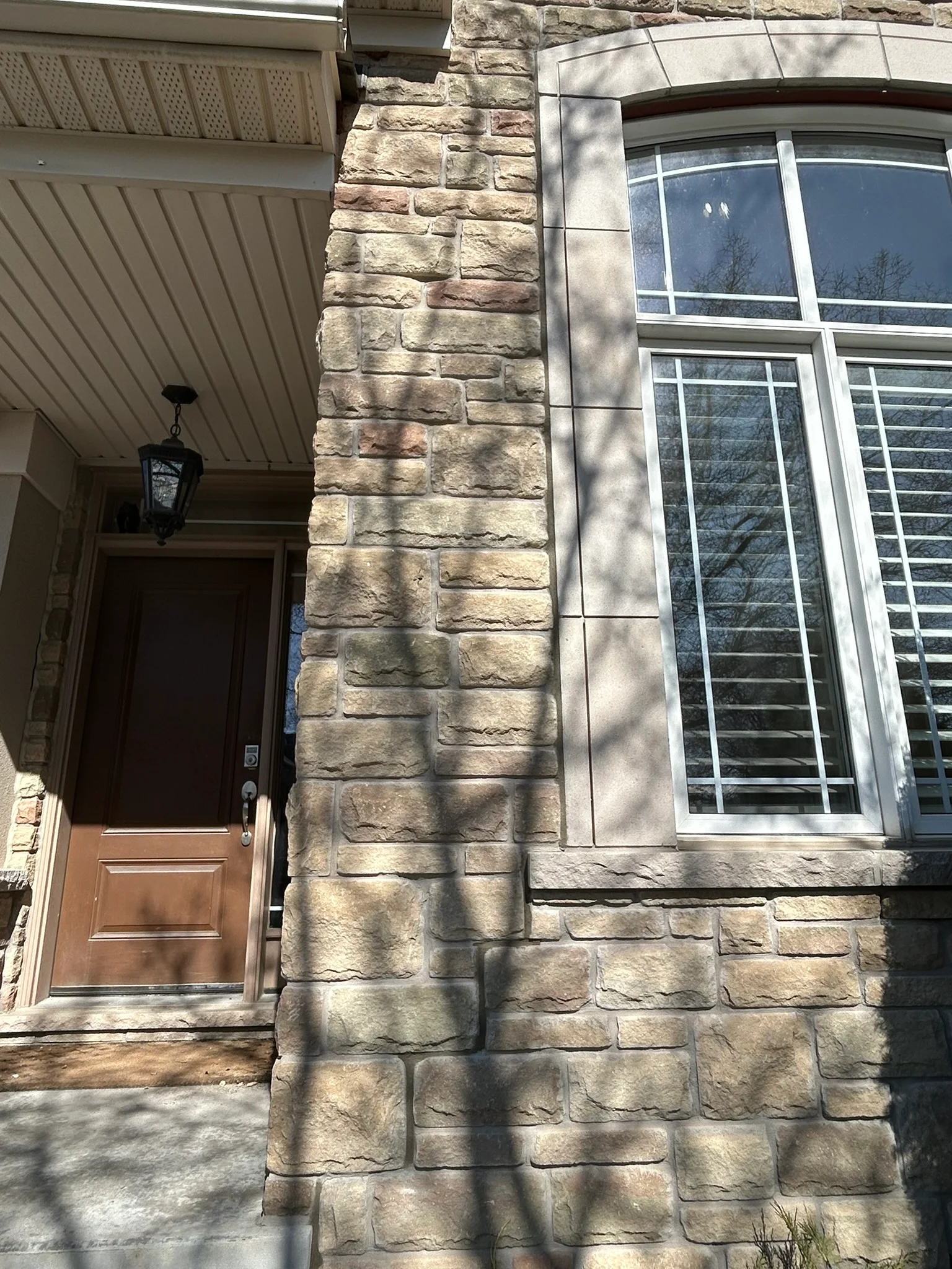 Portfolio image IMG_1637.JPEG