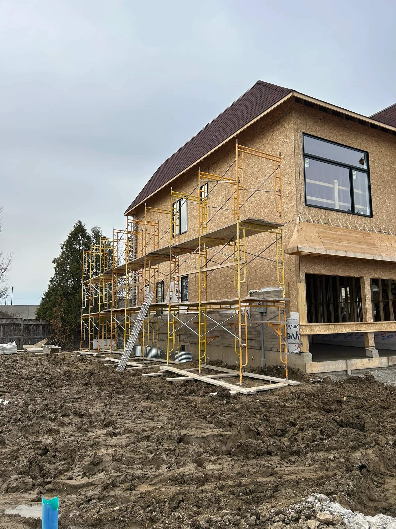 Portfolio image IMG_1656.JPEG