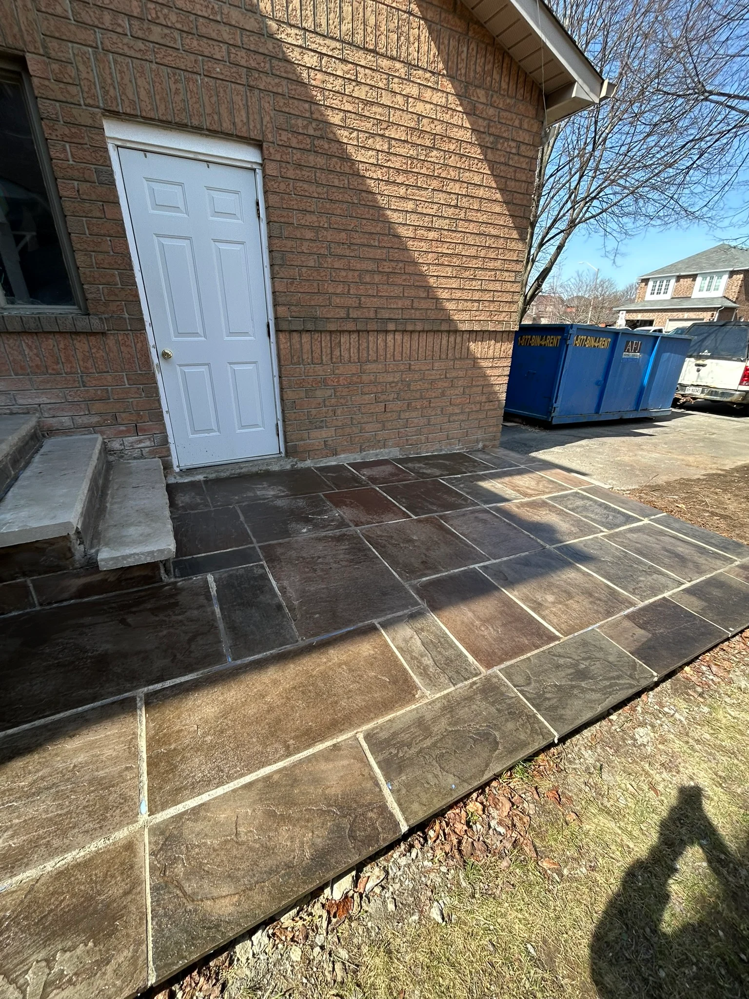 Portfolio image IMG_1736.JPEG