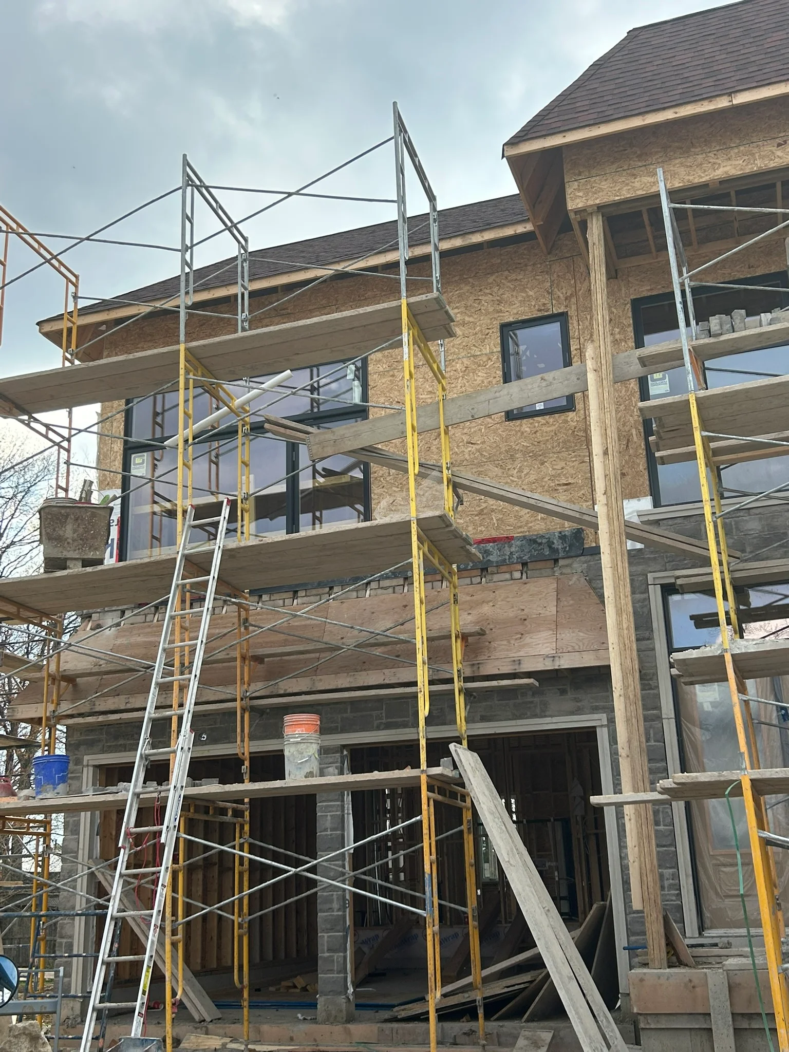 Portfolio image IMG_1804.JPEG