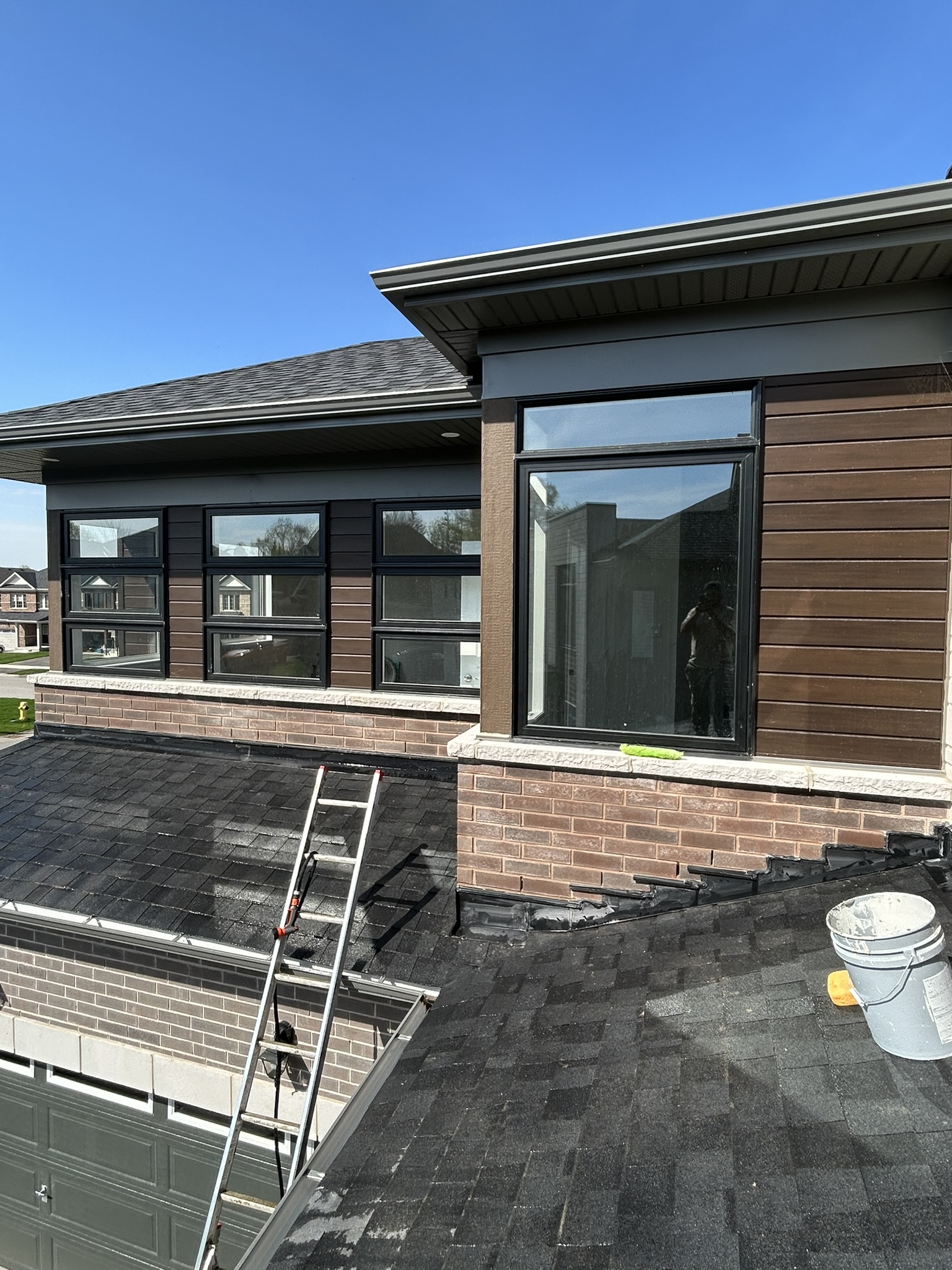 Portfolio image IMG_1851.JPEG