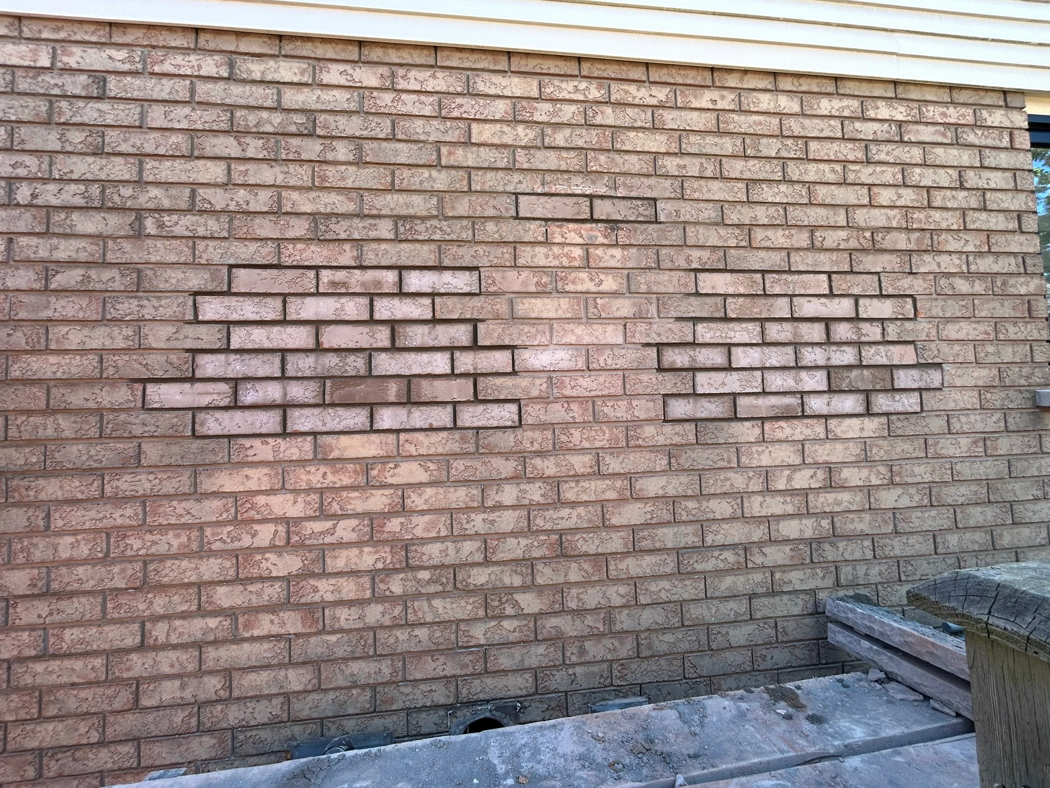 Portfolio image IMG_1944.JPEG