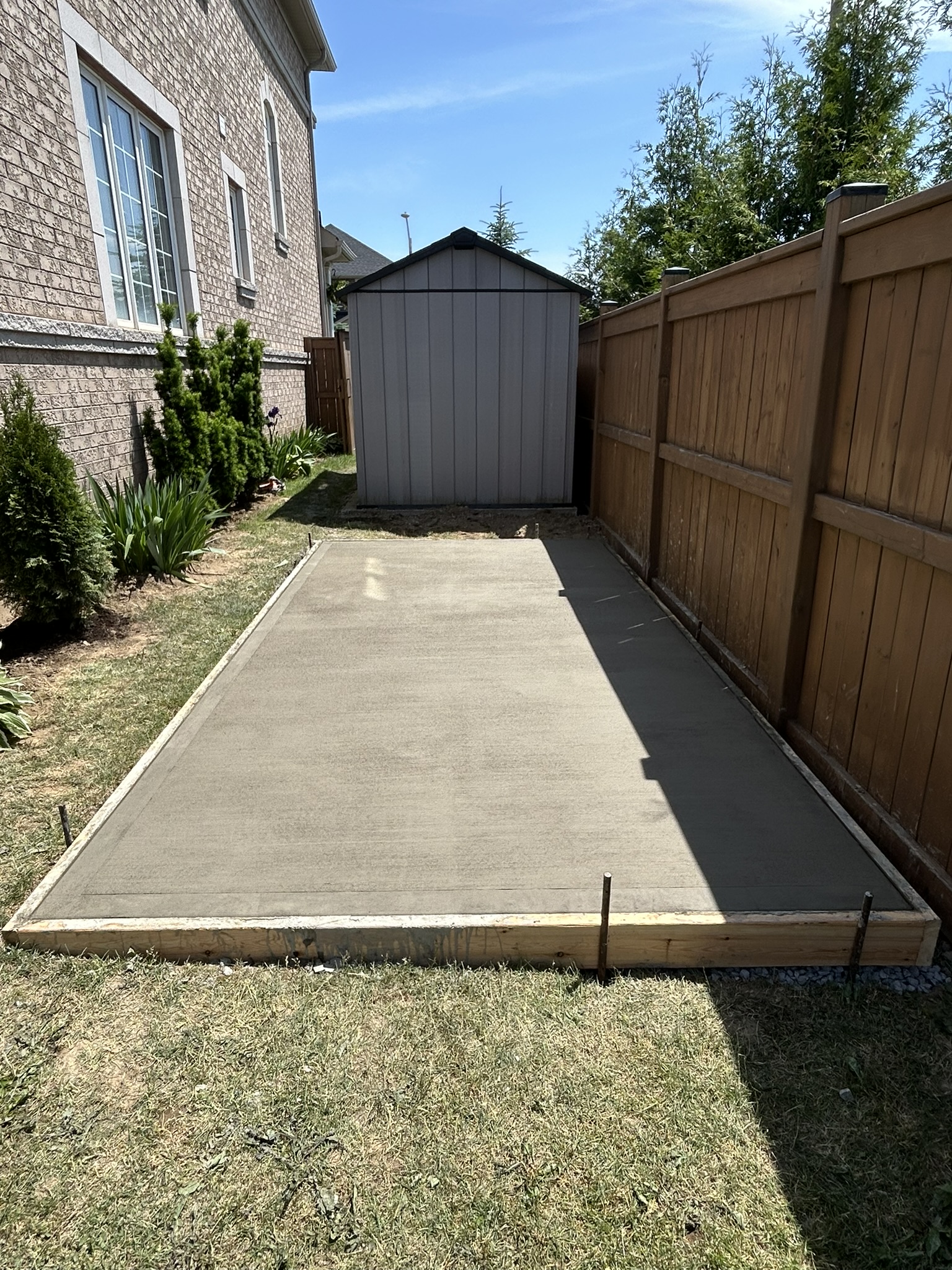 Portfolio image IMG_2111.JPEG