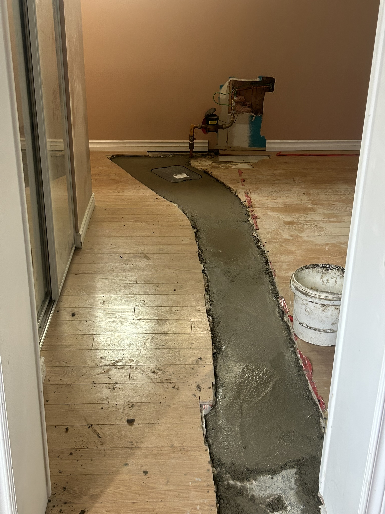 Portfolio image IMG_2124.JPEG