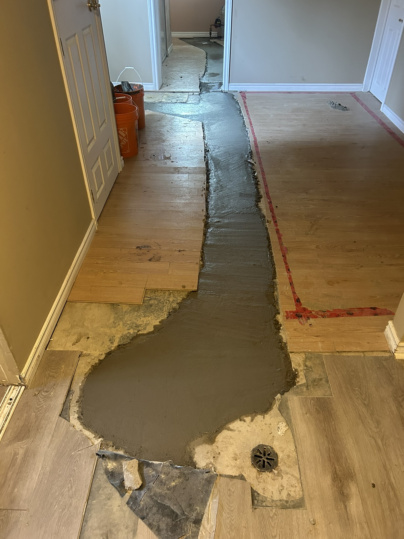 Portfolio image IMG_2125.JPEG