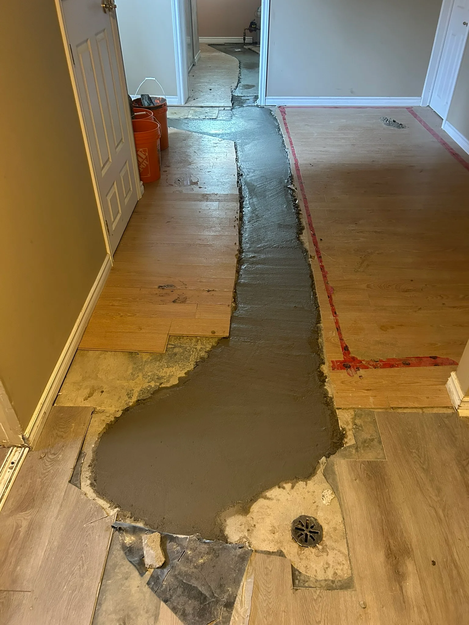 Portfolio image IMG_2125.JPEG