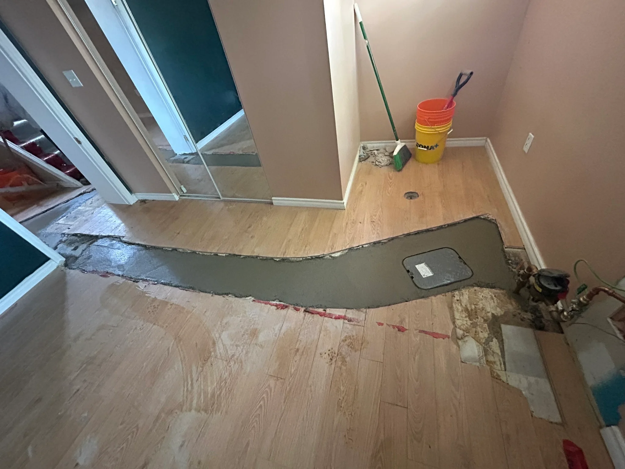 Portfolio image IMG_2127.JPEG