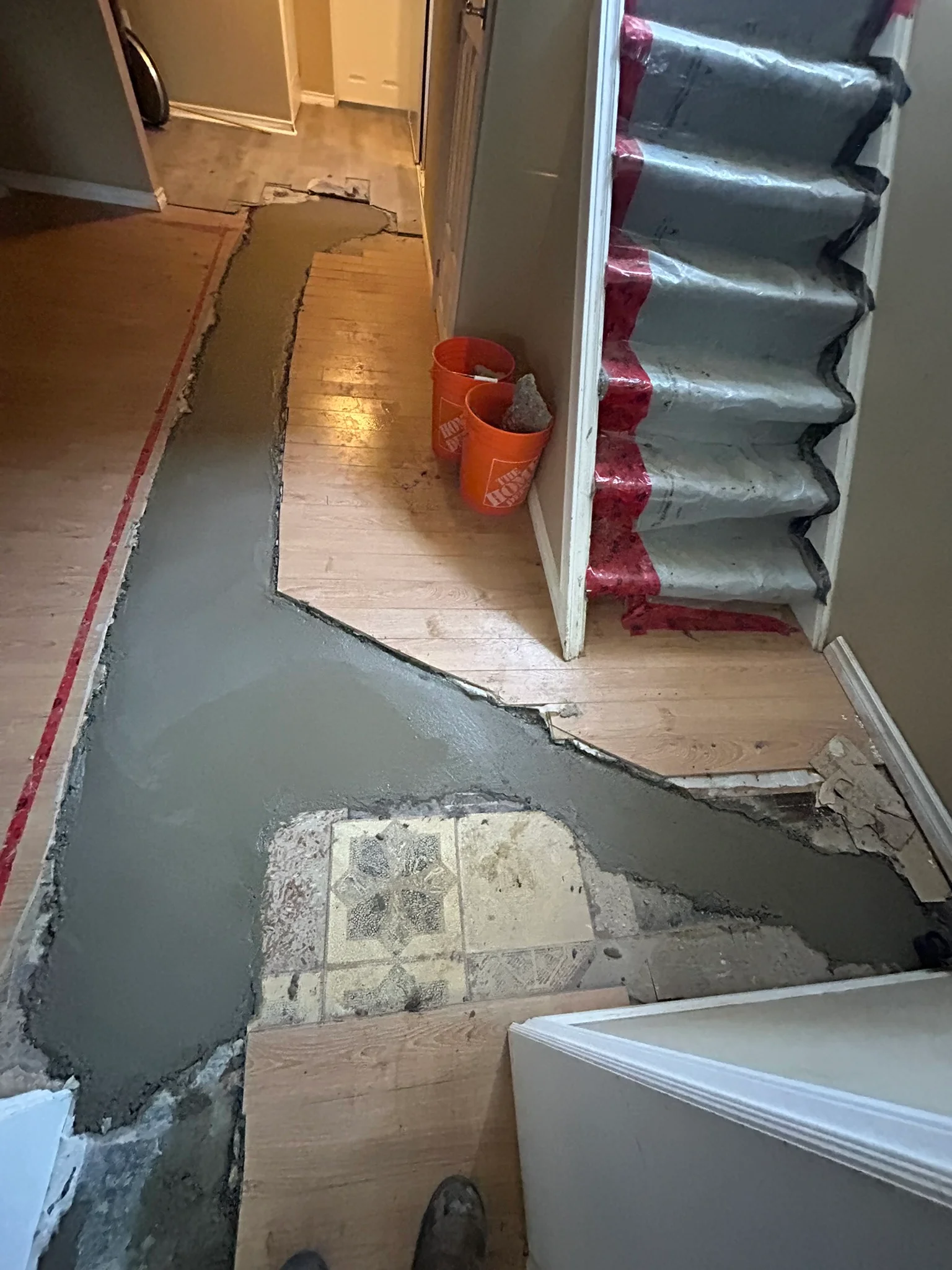 Portfolio image IMG_2128.JPEG