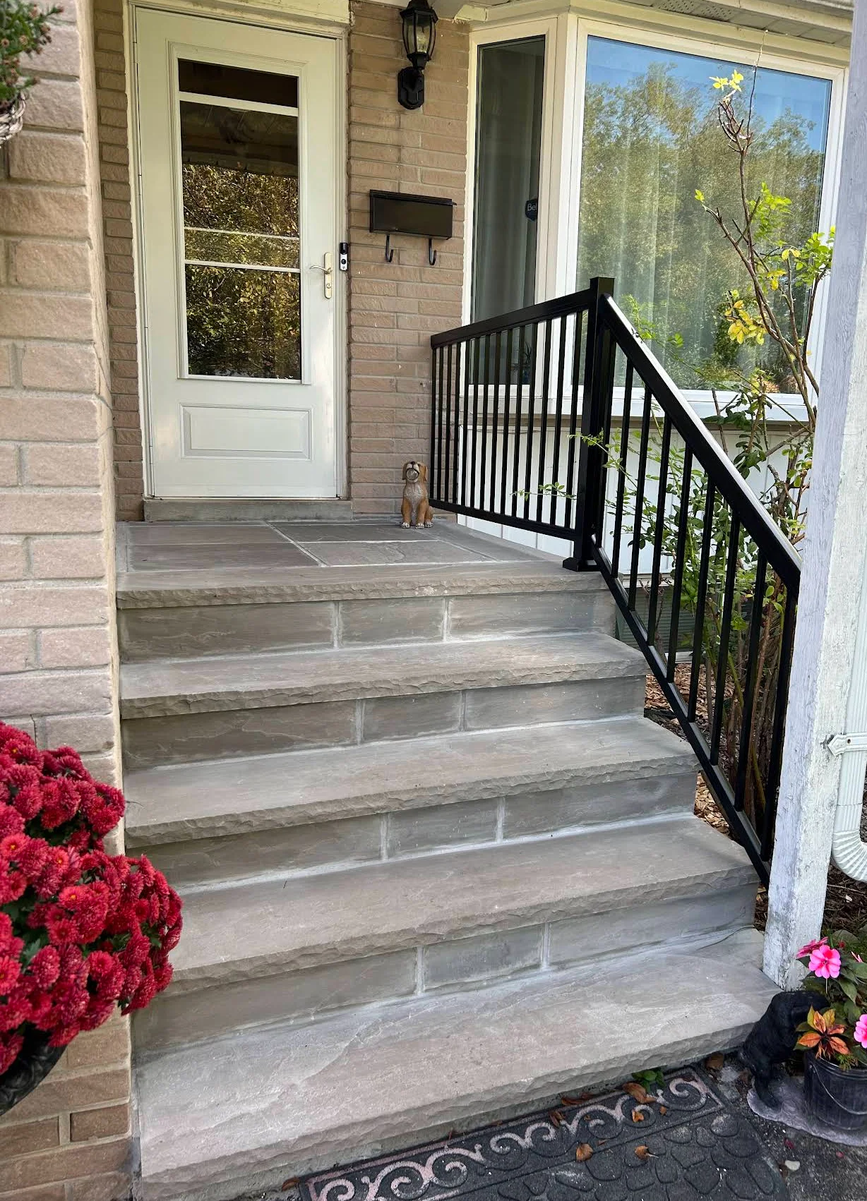 Portfolio image IMG_2357.JPEG