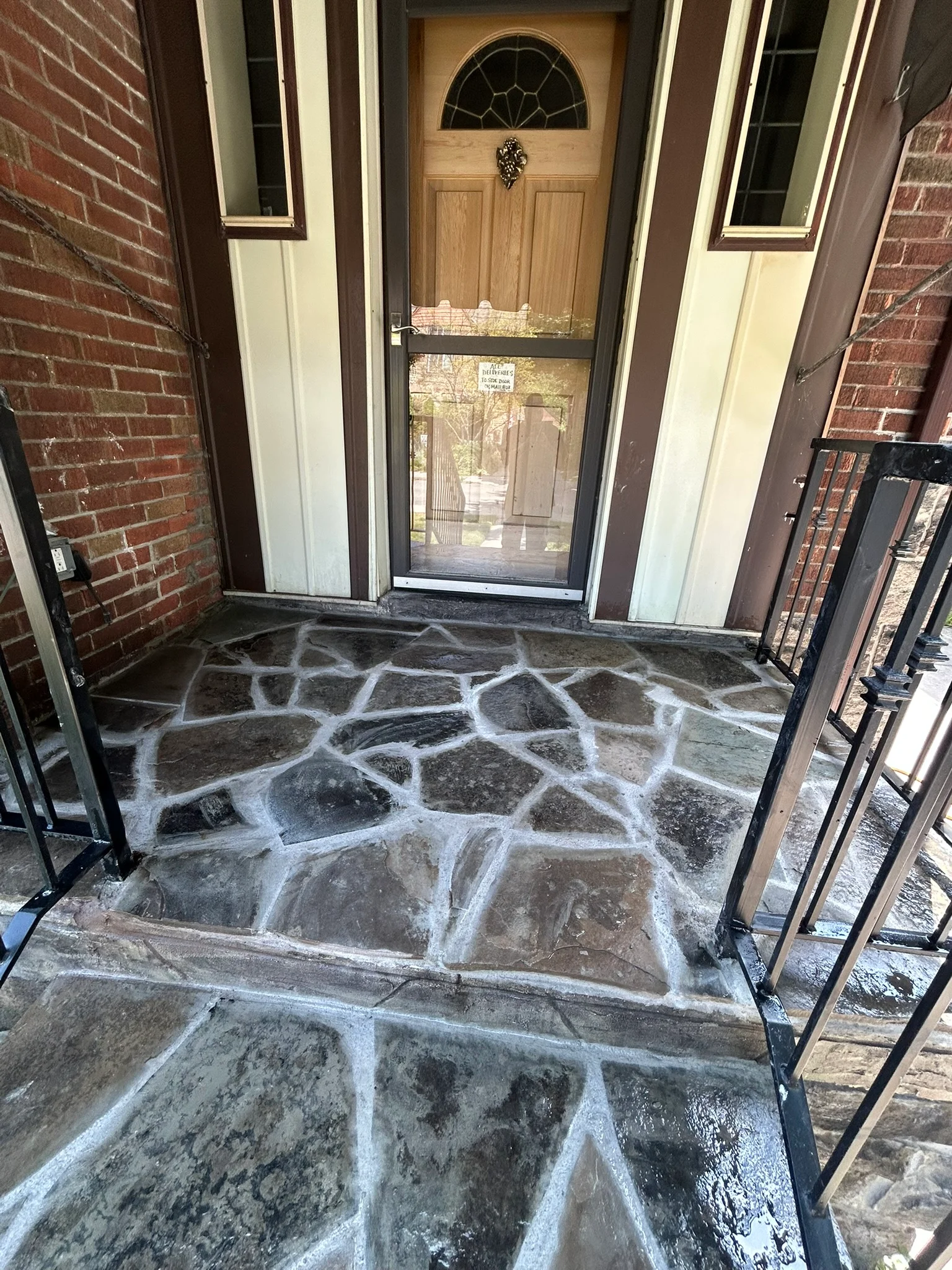 Portfolio image IMG_2369.JPEG