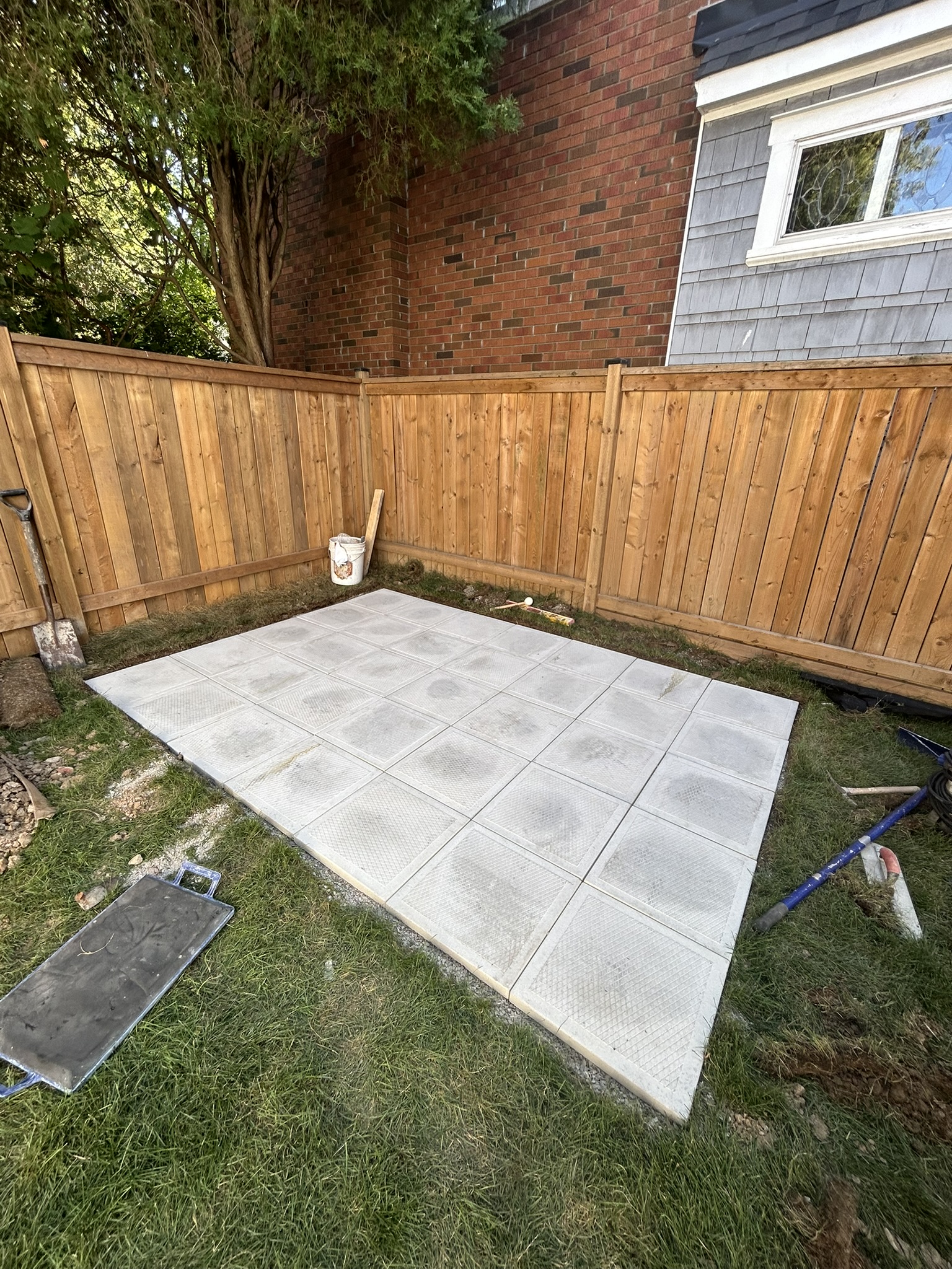 Portfolio image IMG_2428.JPEG